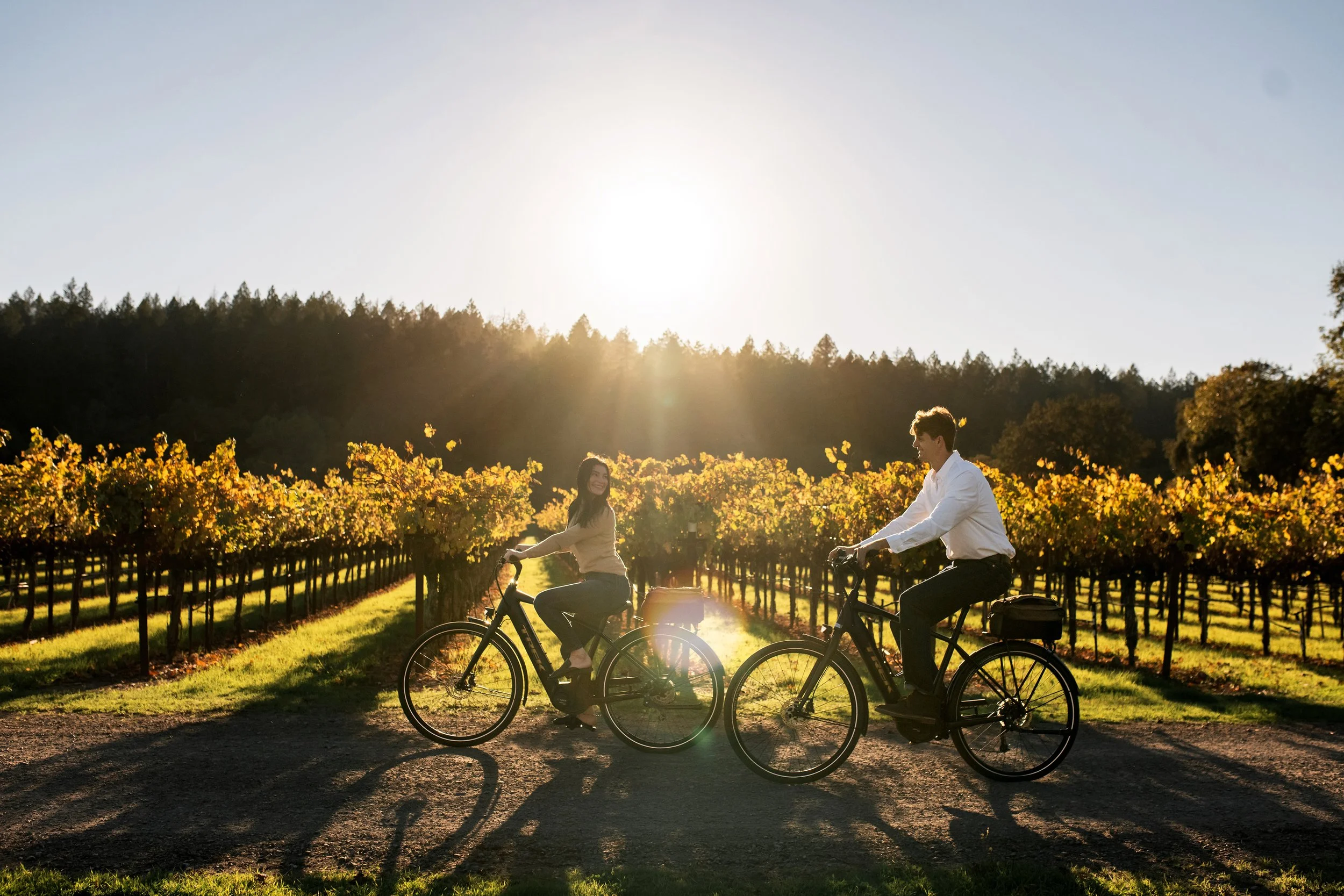 Napa Valley bike tours