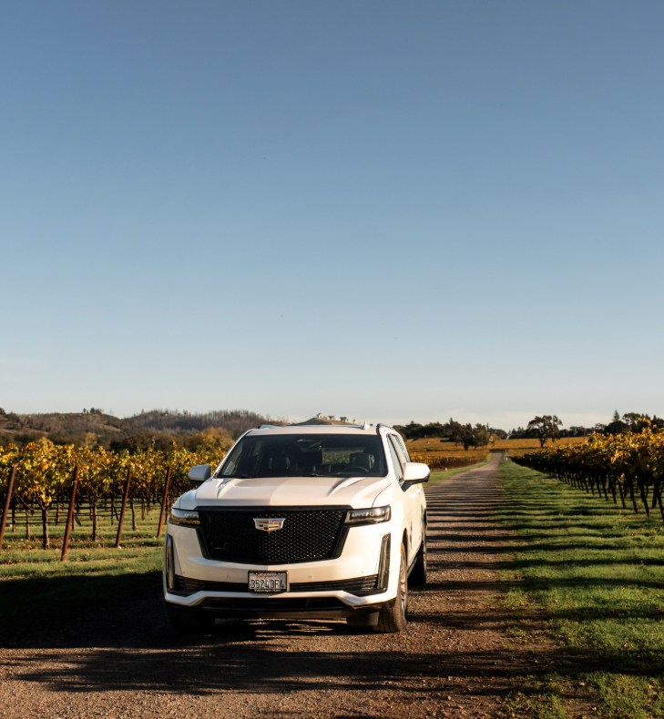 We arrange transportation services for you.