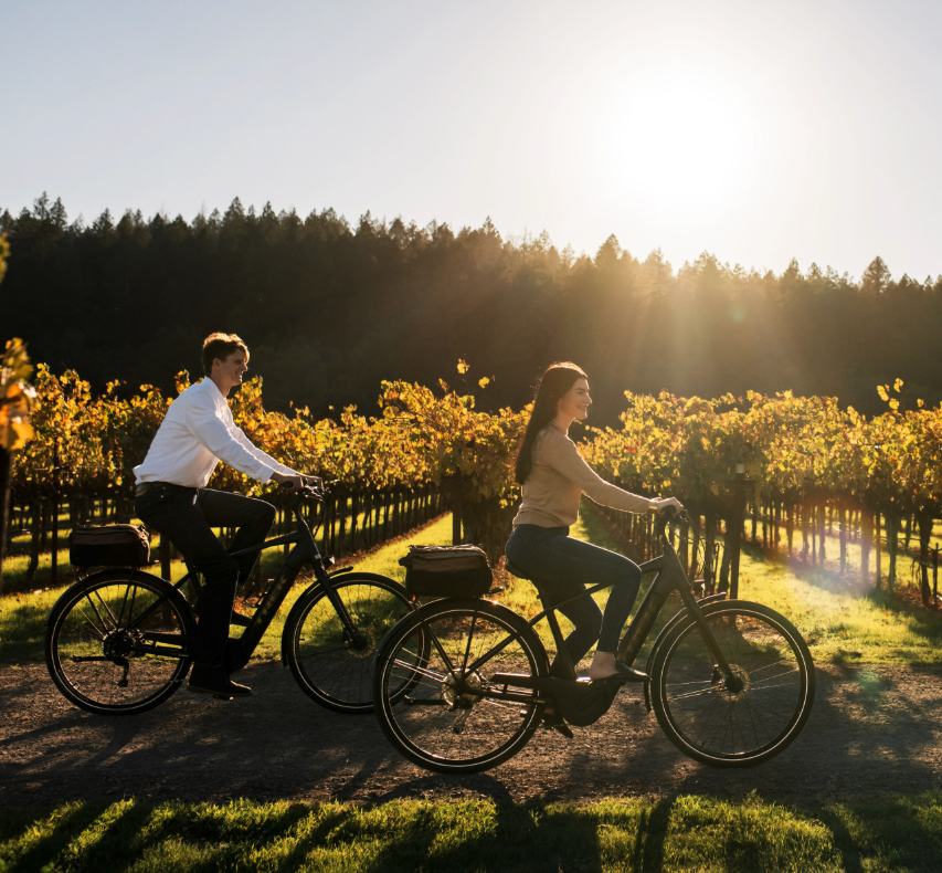 Wild Vine Napa Valley Bike Tours
