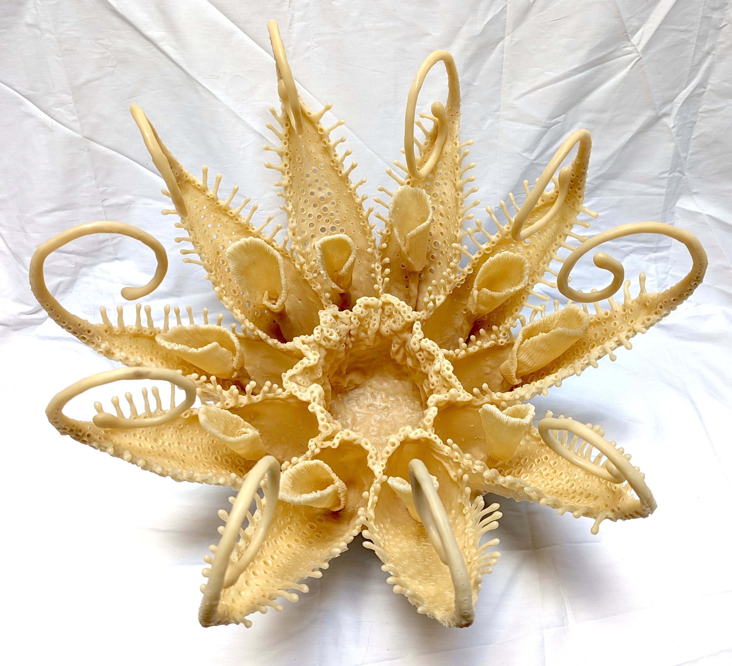 Hansen_Angela_The Vessel of Transformation.jpeg