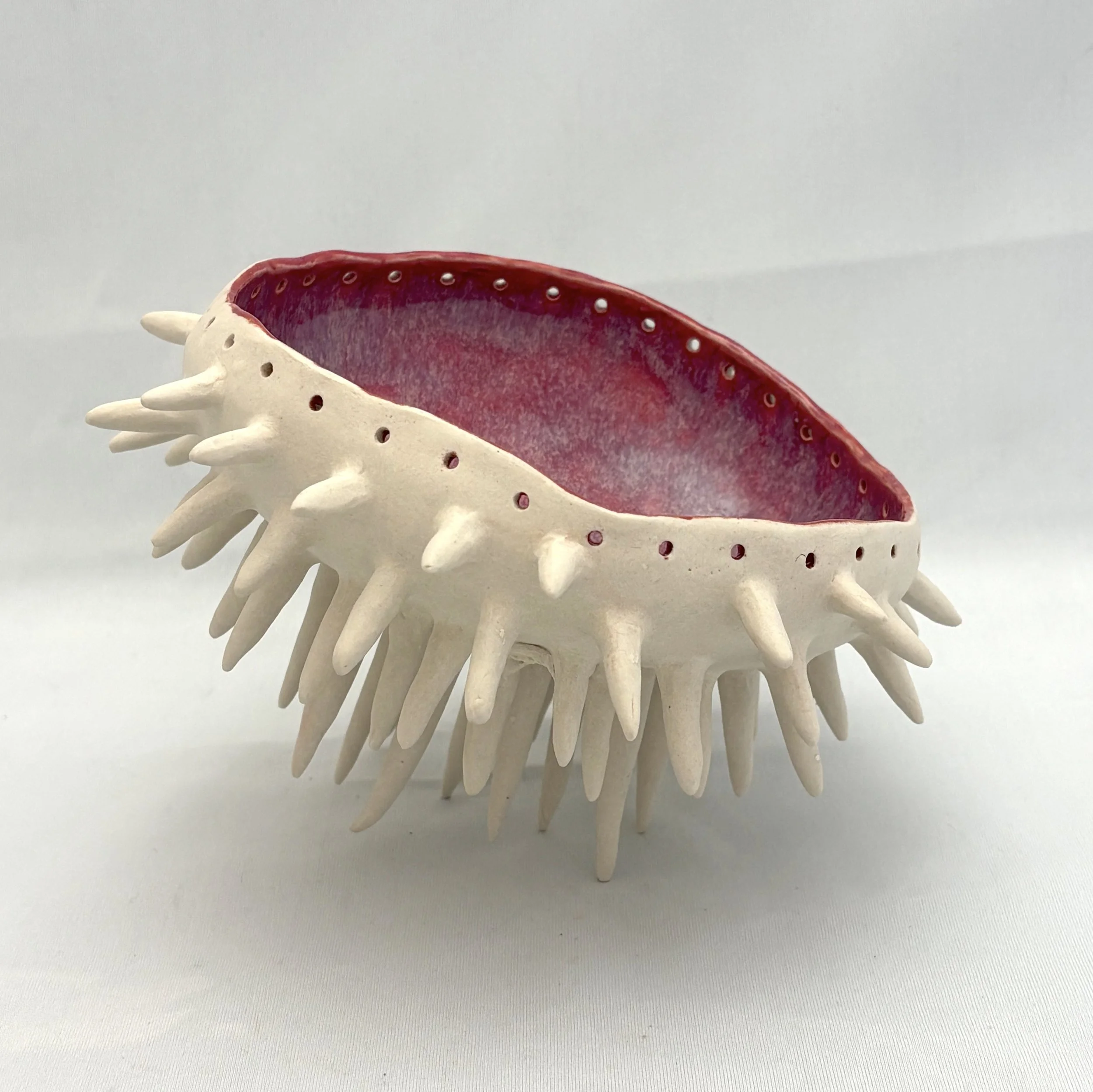 Spiky Seed Pod.jpg
