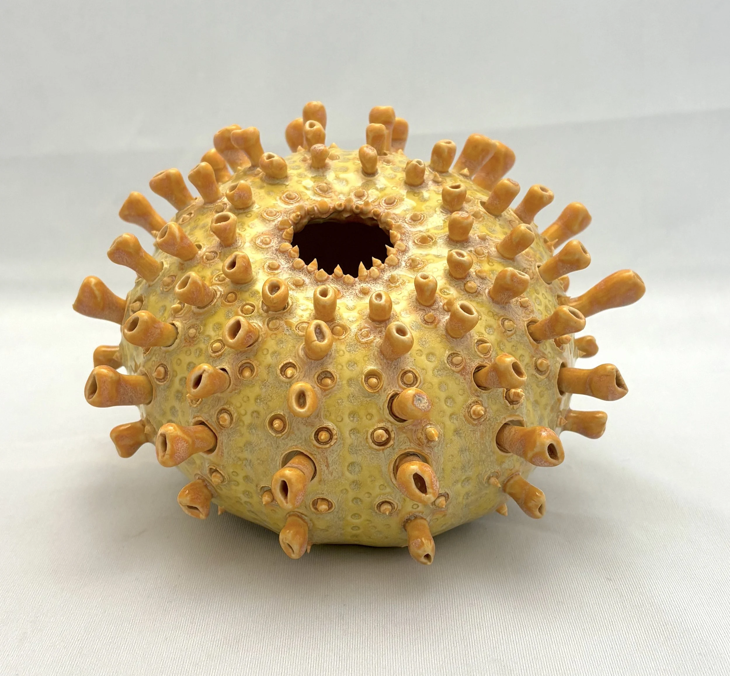 Pollen Spore.jpg