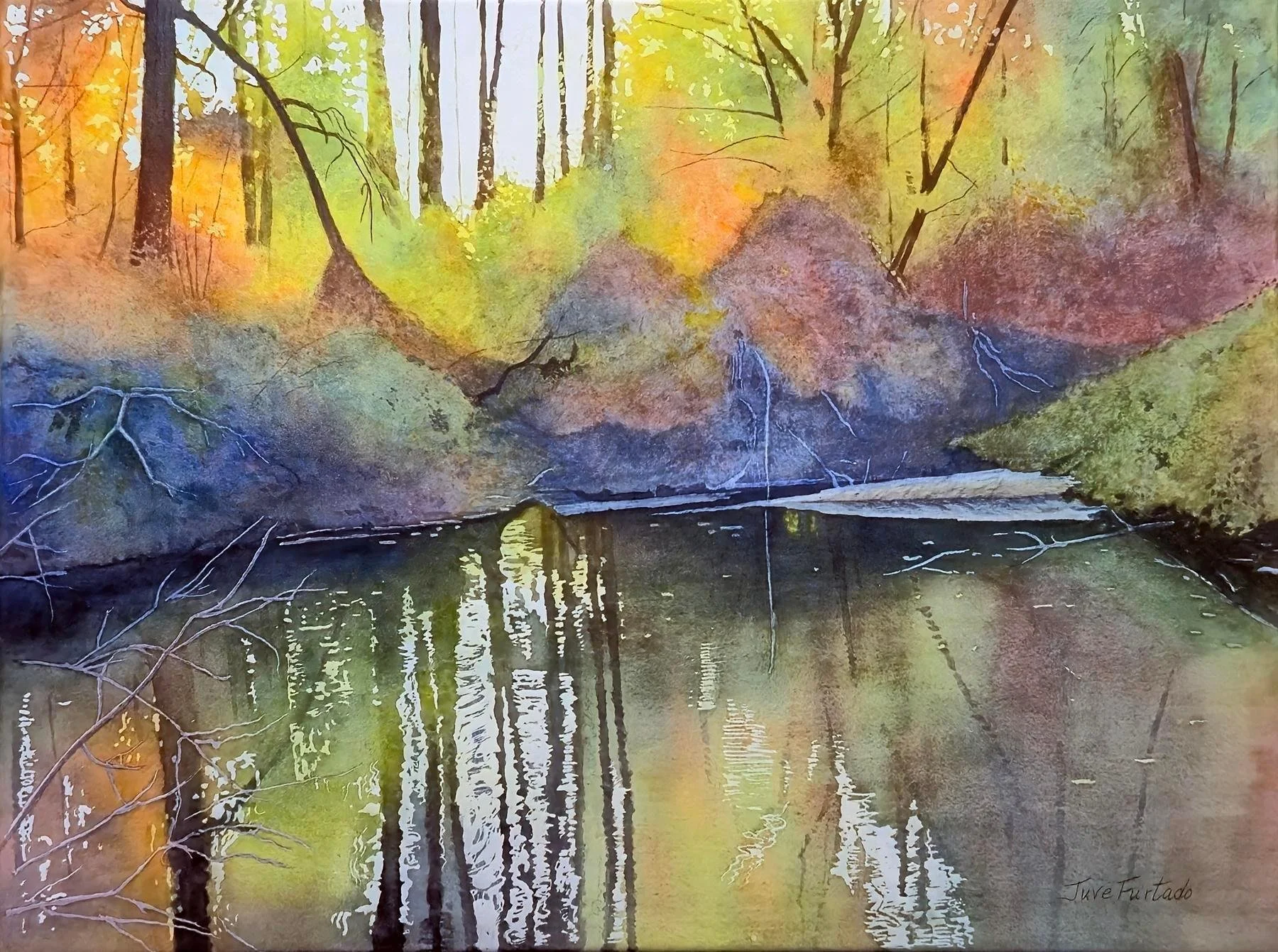 Furtado, Juve - Turtle Pond.jpg