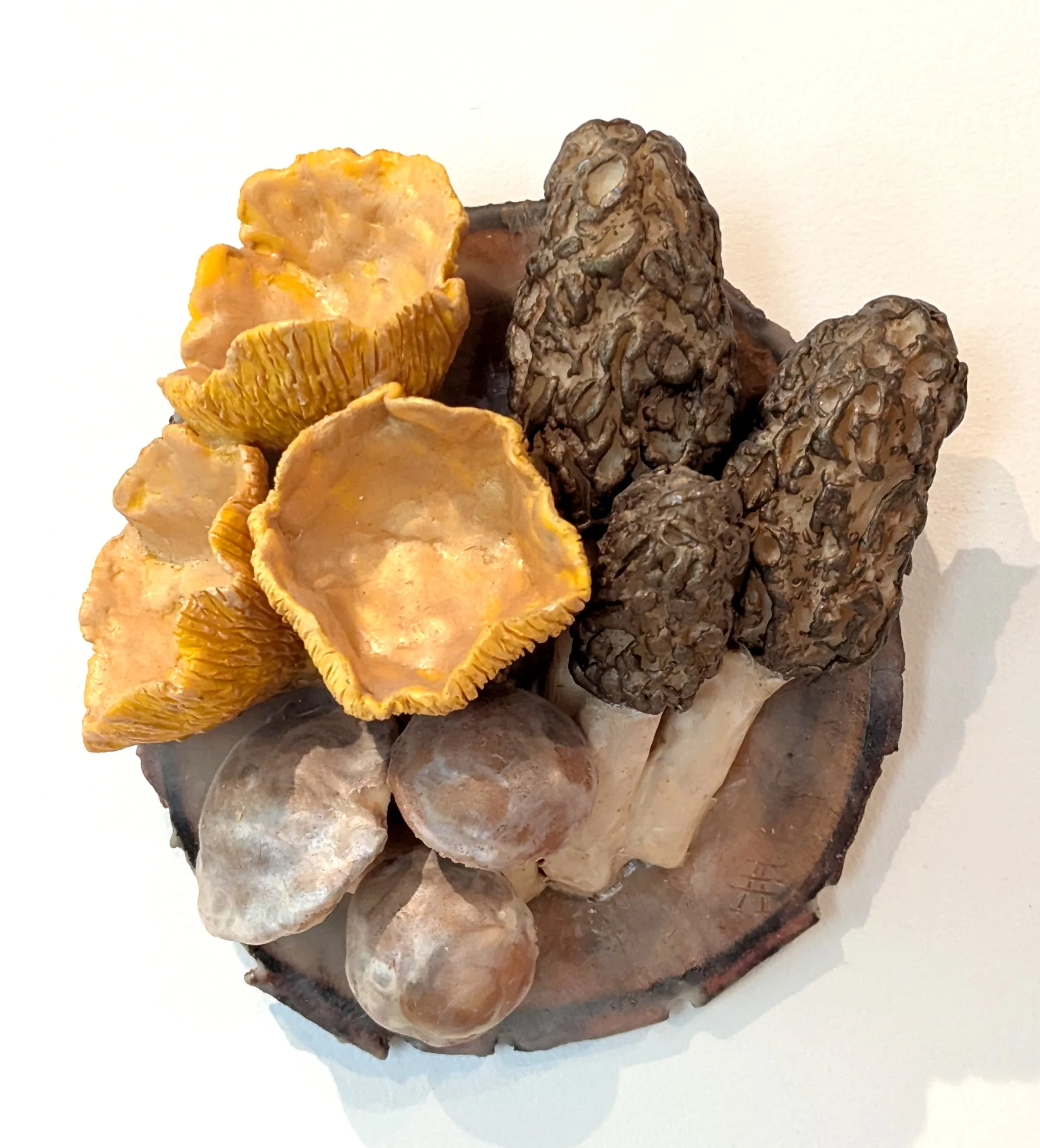 Hansen_Fungi Encaustica 2020.jpg