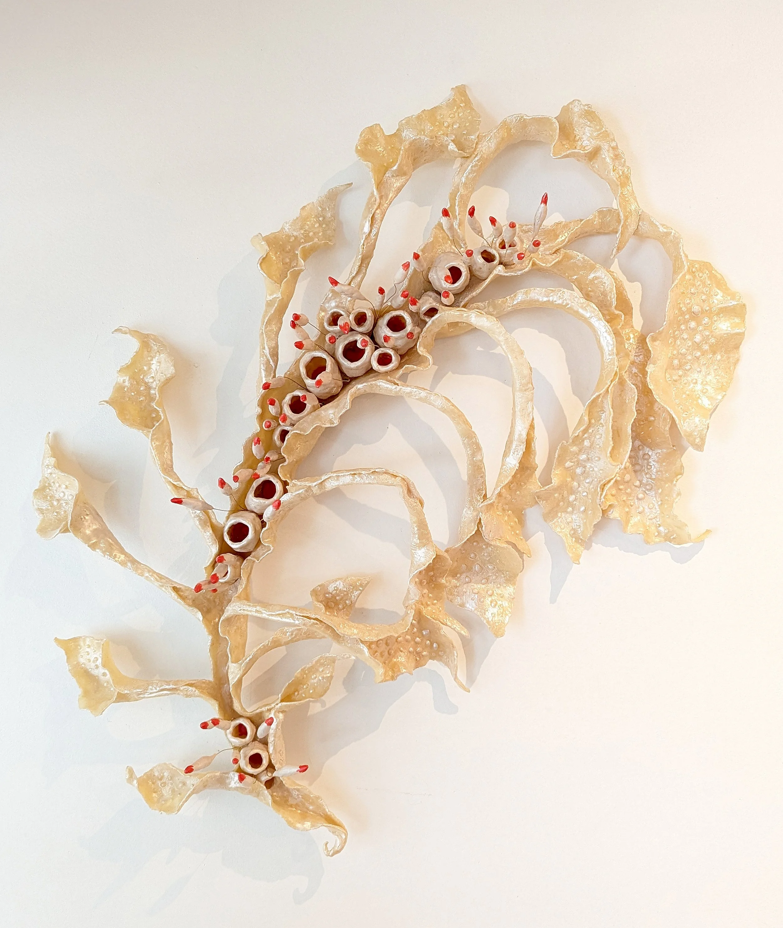 Hansen_Fruiting Bodies.jpg