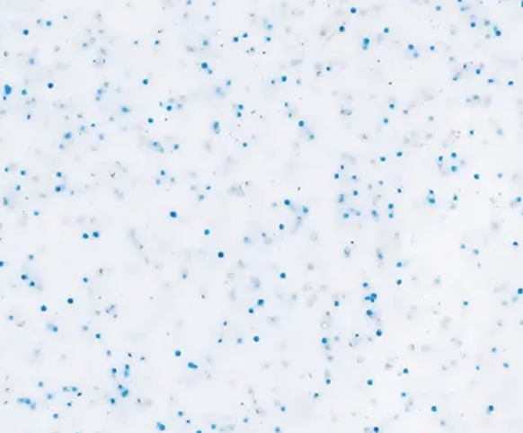 Close-up of white surface with scattered small blue and gray dots.