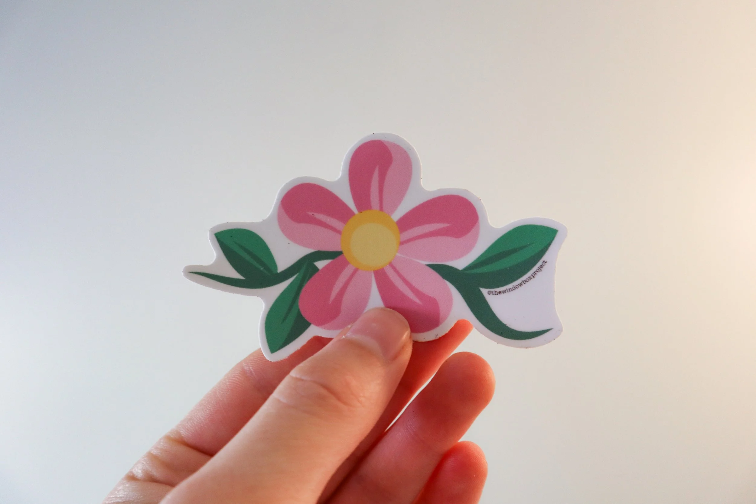 Pink Flower and Vines Sticker