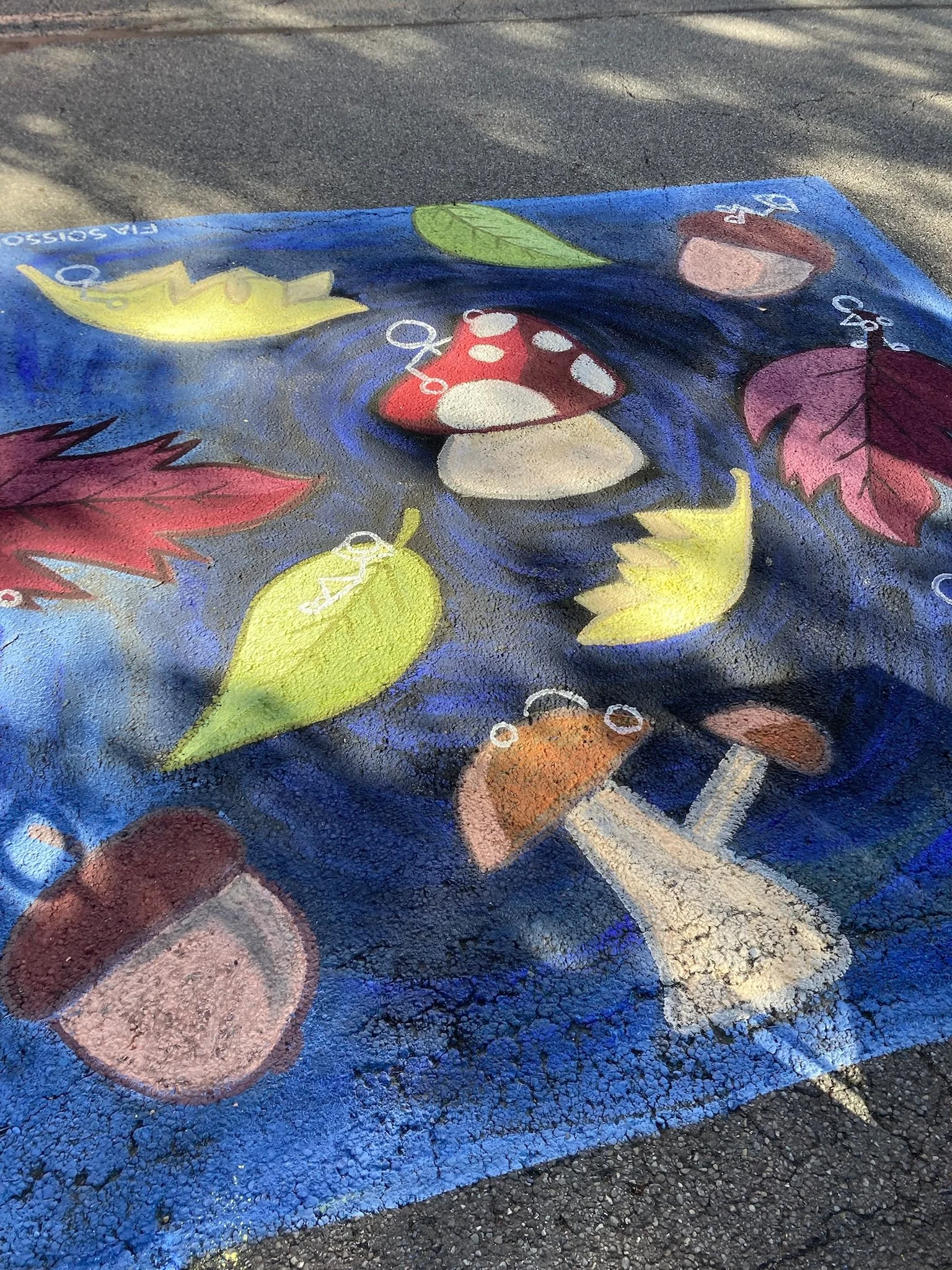 Colorful sidewalk chalk art depicting mushrooms, leaves, and acorns on pavement.