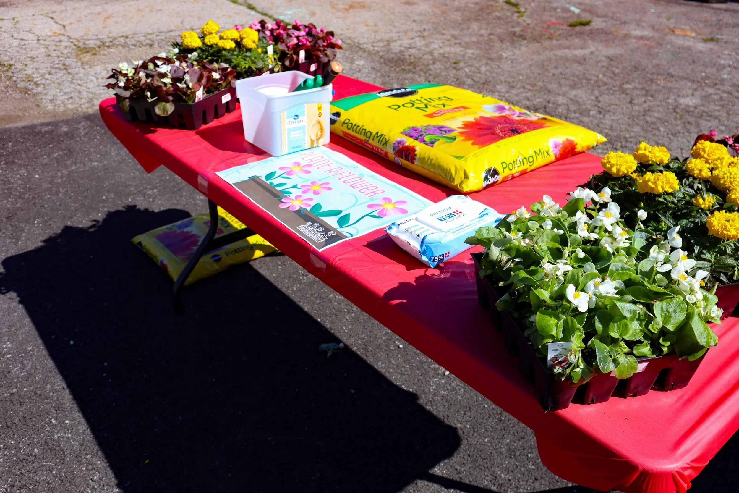 A red table covered with a plastic tablecloth displaying gardening supplies including bags of potting mix, flower containers, and potted flowers like yellow and white blooms, outdoors on a paved surface.