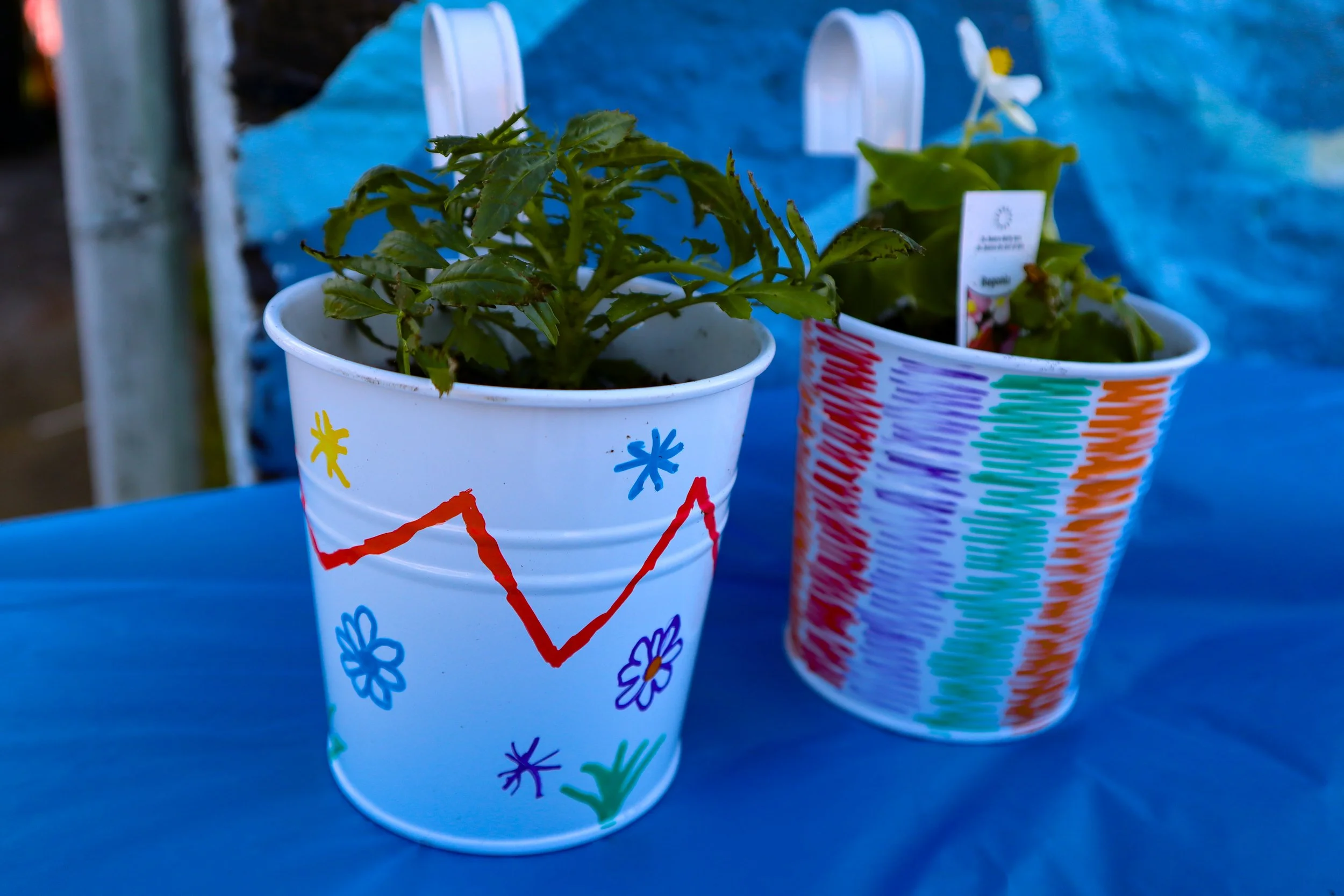 Two painted white metal buckets with plants, placed on a blue surface. The bucket in the foreground has colorful drawings of flowers and a red zigzag line, and contains a green leafy plant. The background bucket also contains a plant and has colorful horizontal lines painted on it.