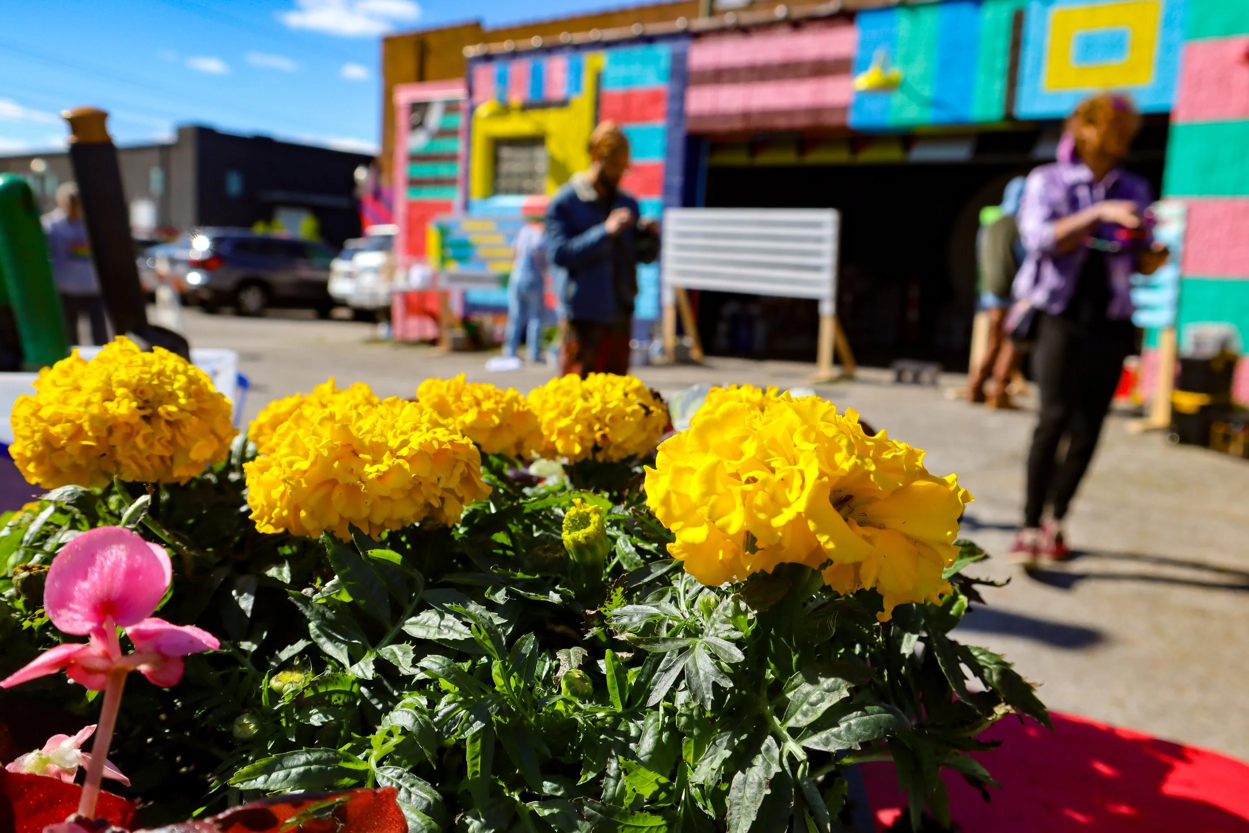 Close-up of yellow and pink flowers in the foreground with people standing and chatting outside a colorful building in the background under a blue sky.
