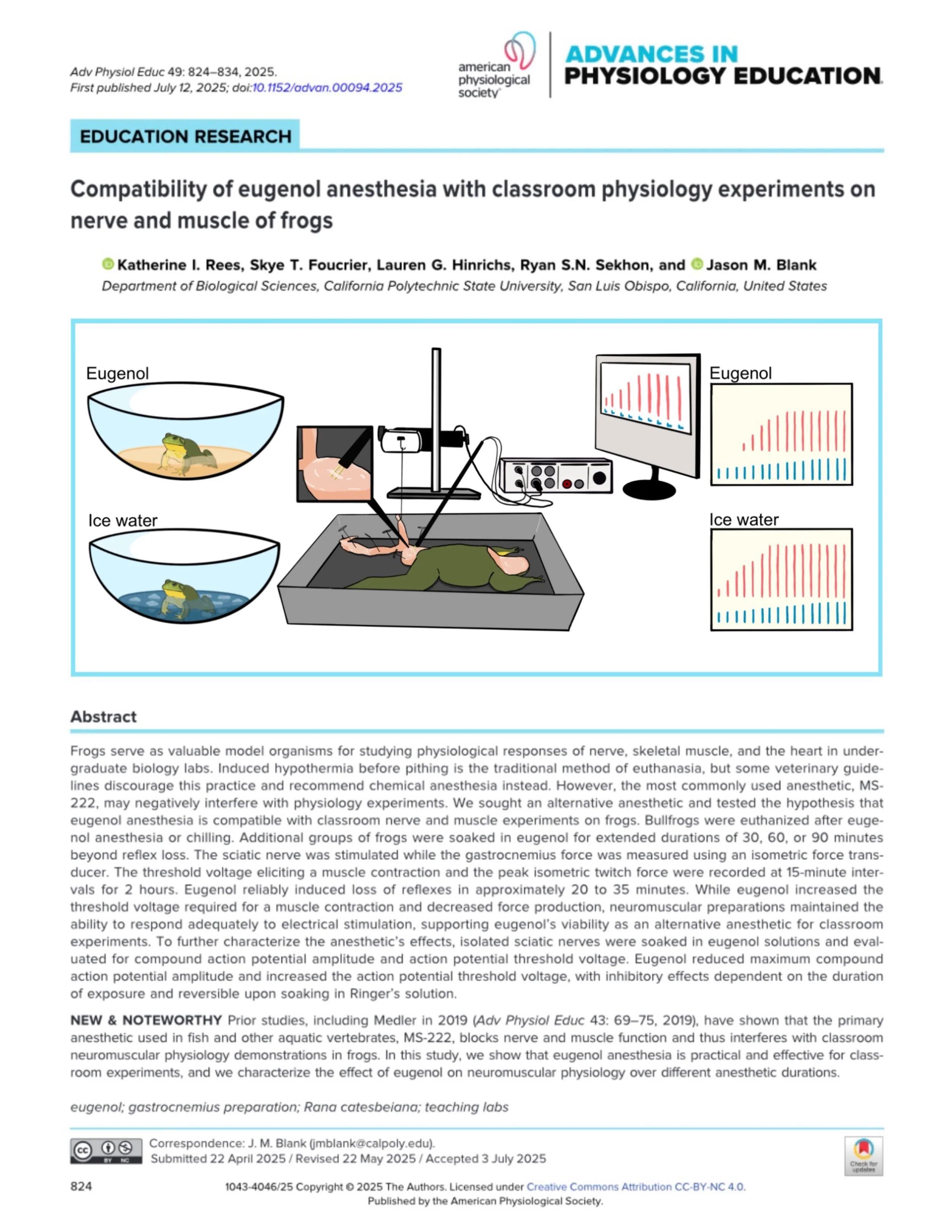 Graphical Abstract