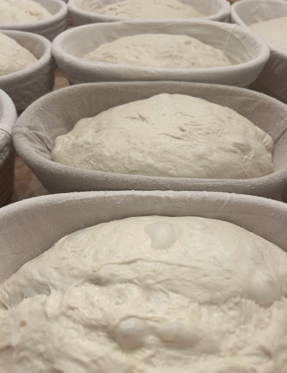 Screenshot 2026-03-10 073531.png