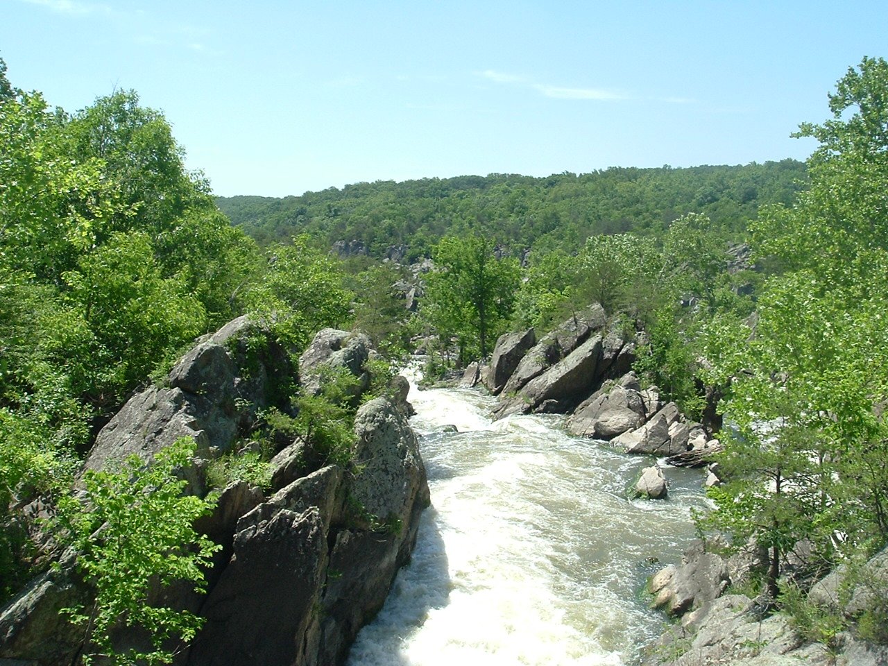 DSCF1233.JPG
