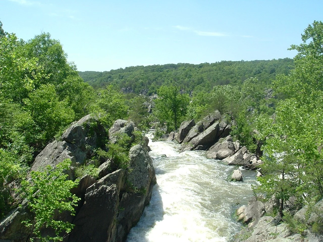 DSCF1233.JPG