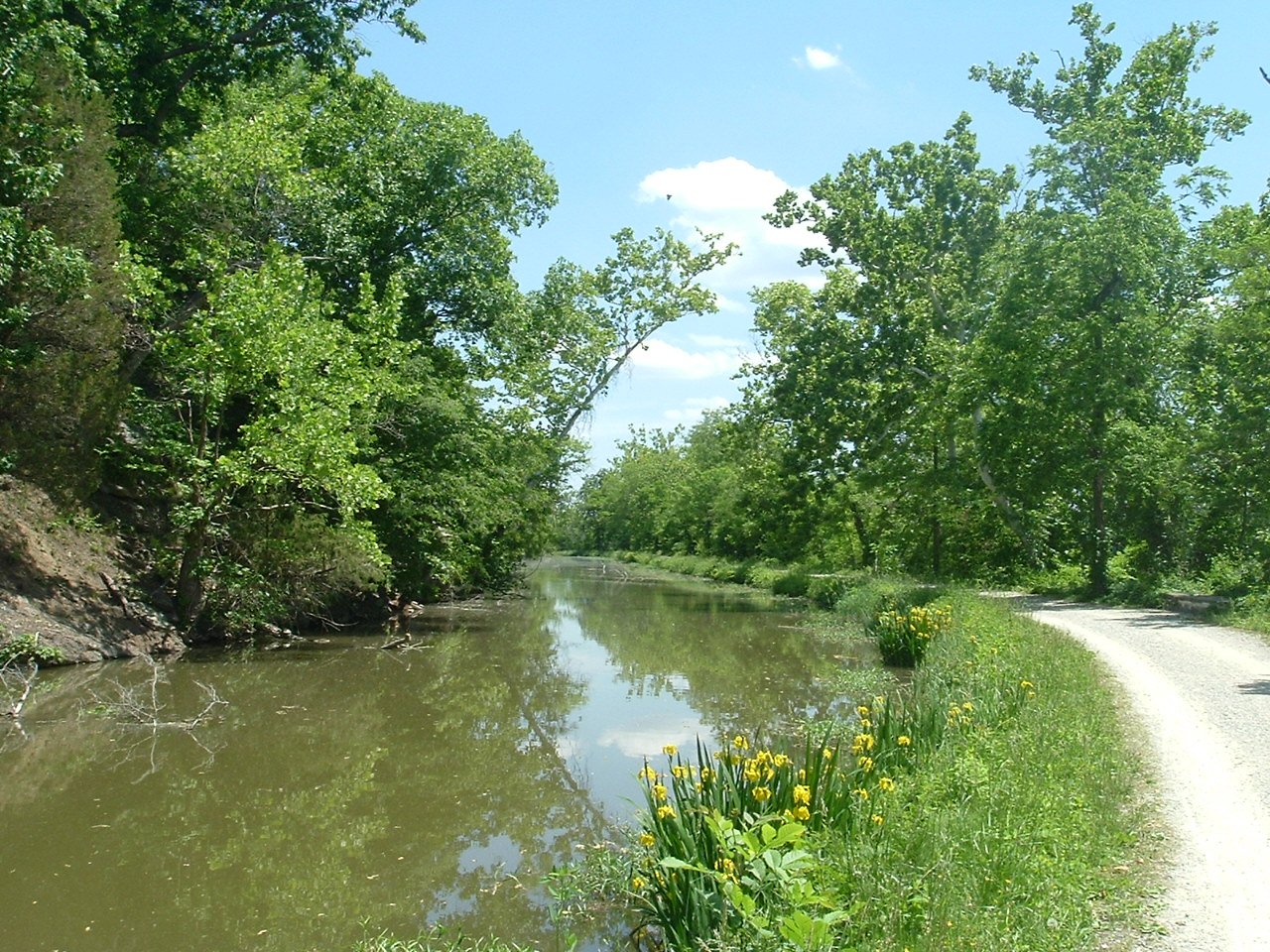 DSCF1243.JPG