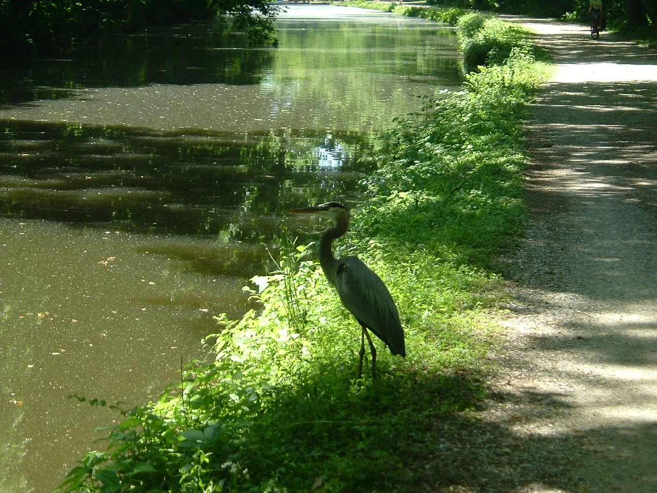 DSCF1240.JPG