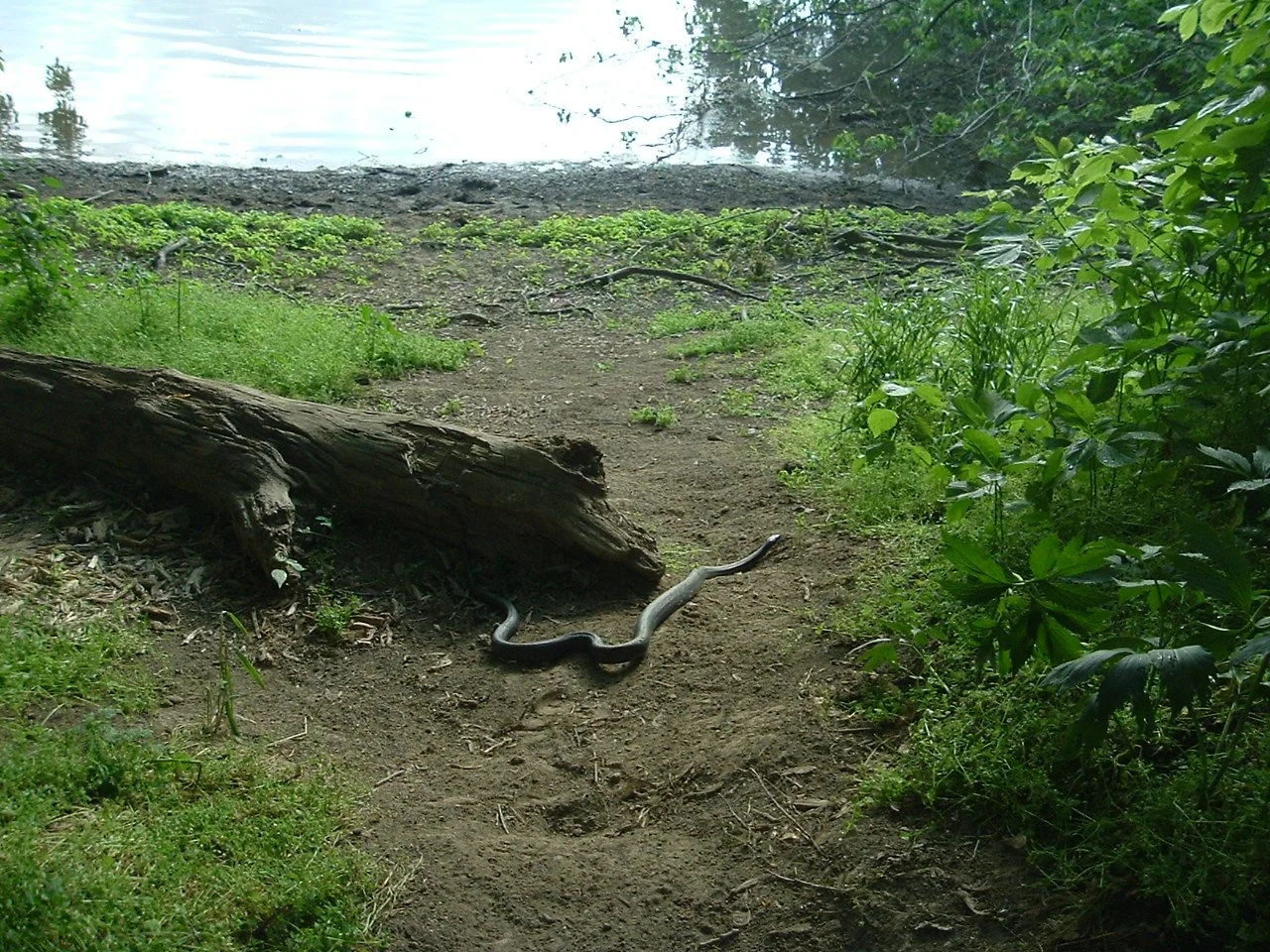 DSCF1254.JPG