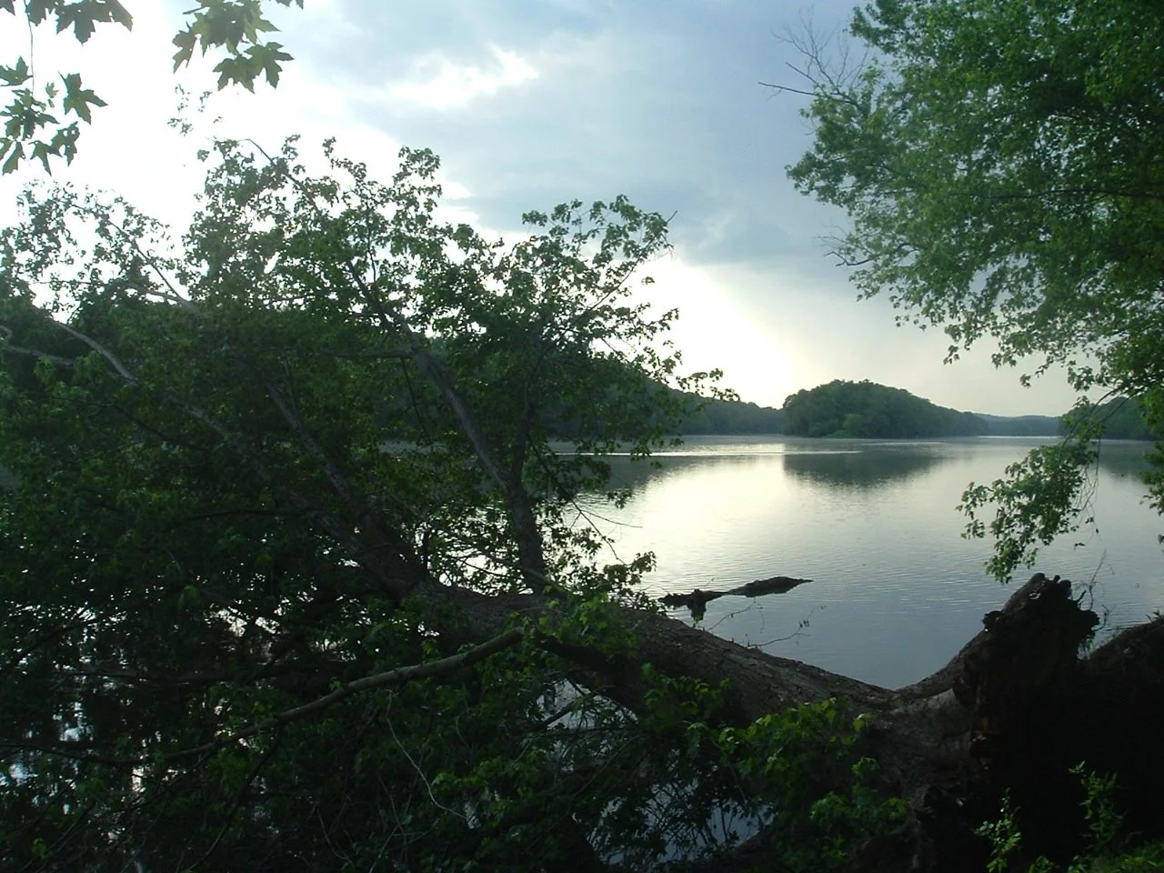 DSCF1256.JPG