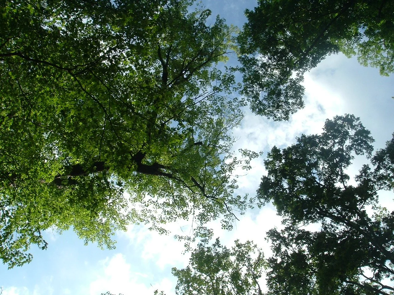 DSCF1260.JPG