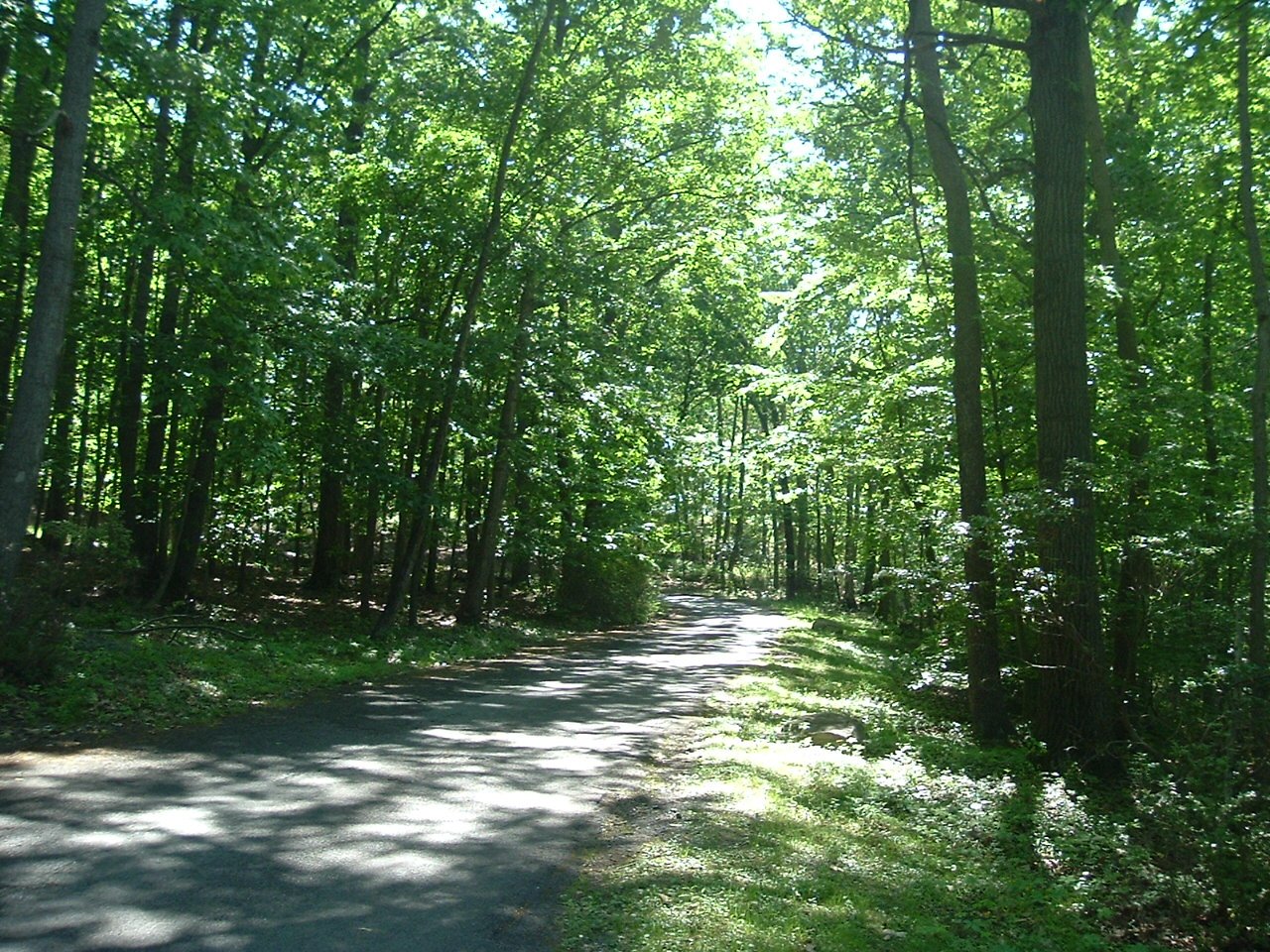 DSCF1265.JPG