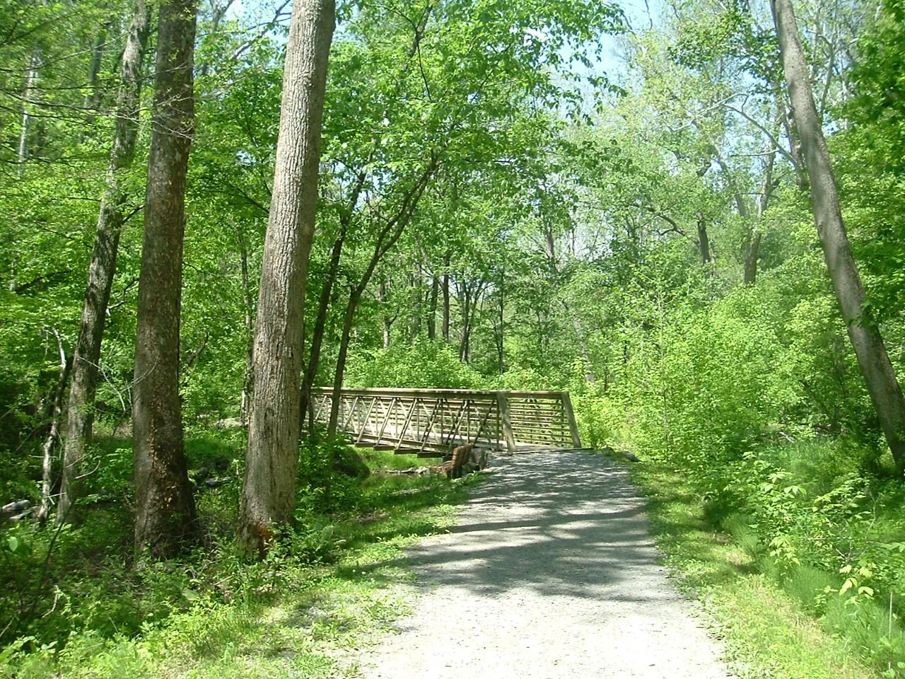 DSCF1270.JPG