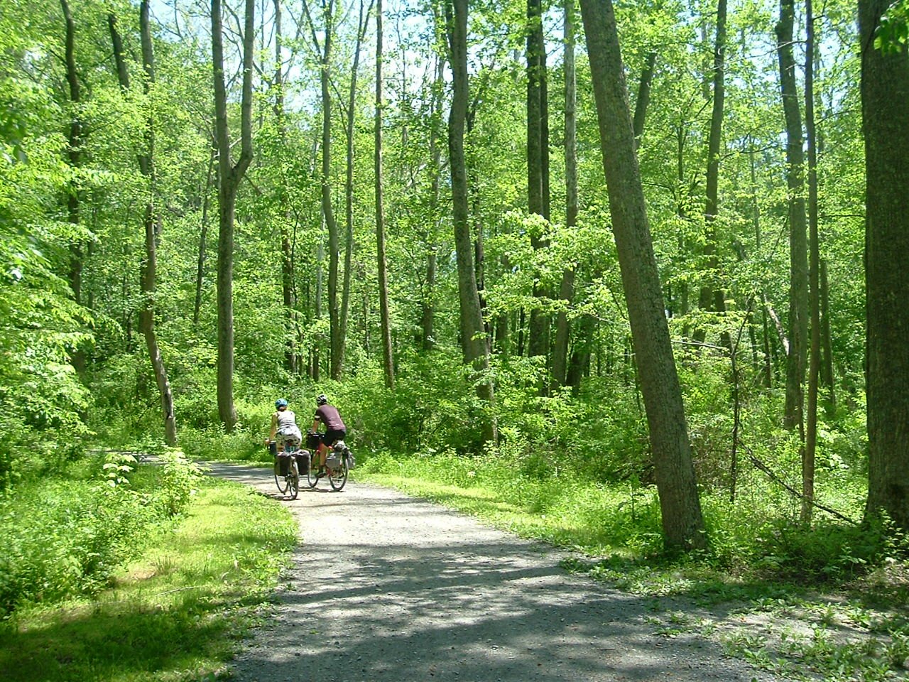 DSCF1271.JPG