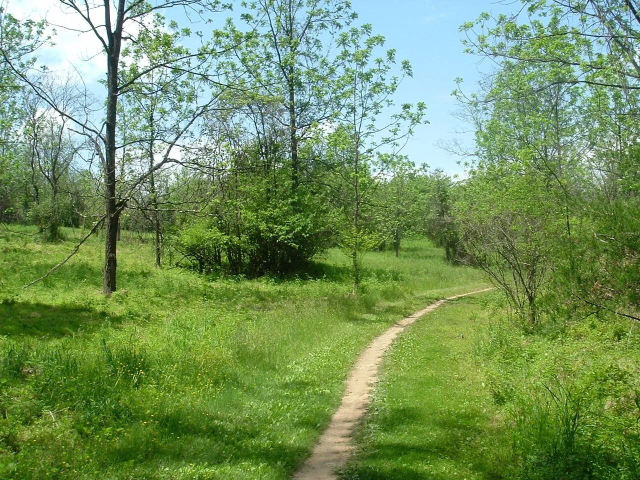 DSCF1272.JPG