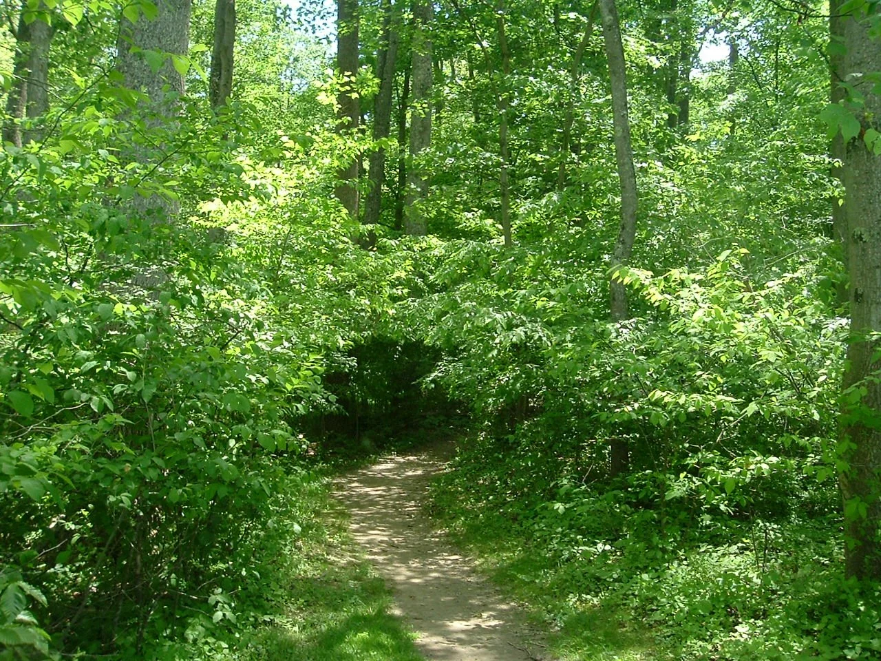 DSCF1273.JPG