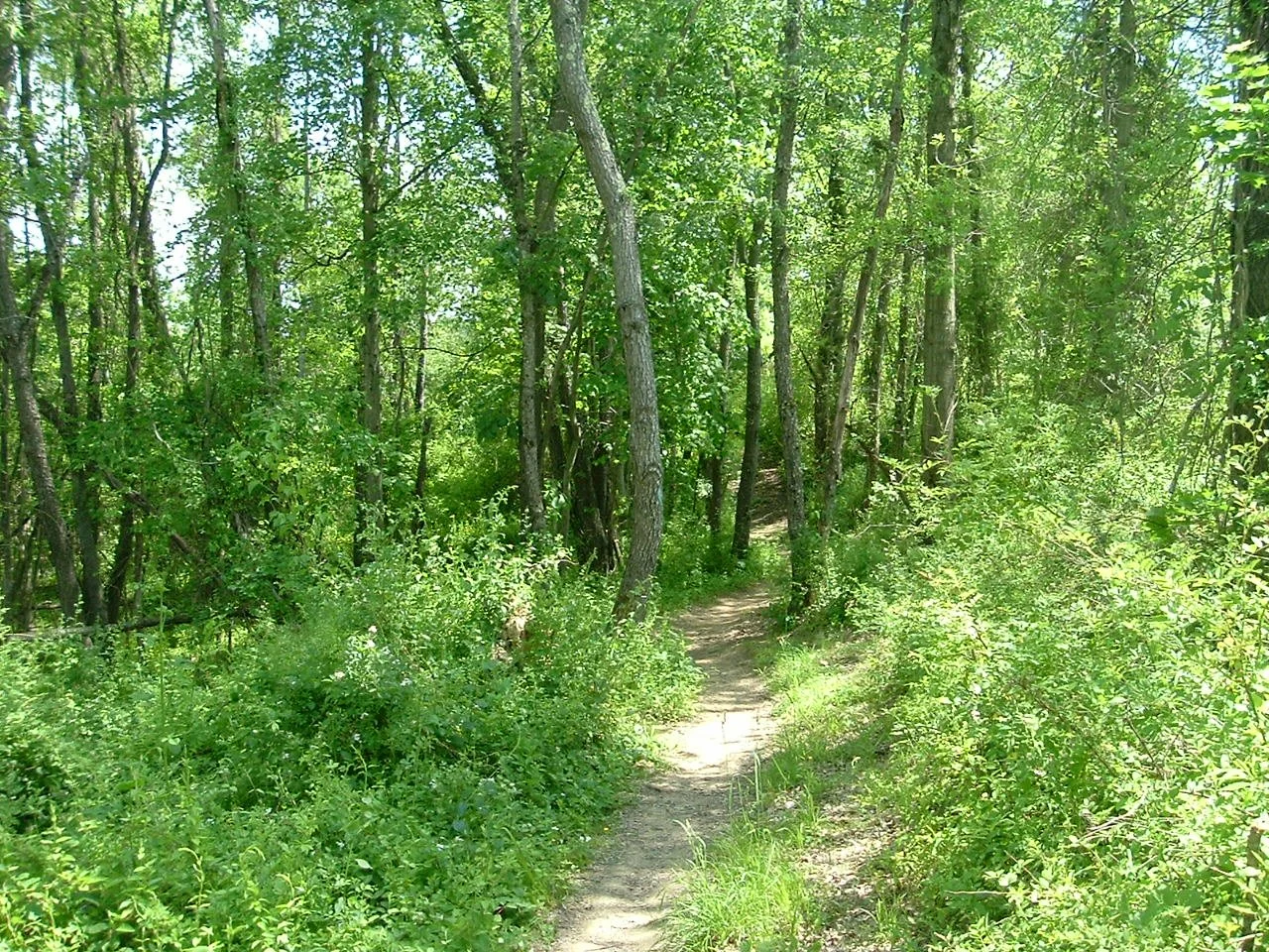 DSCF1275.JPG
