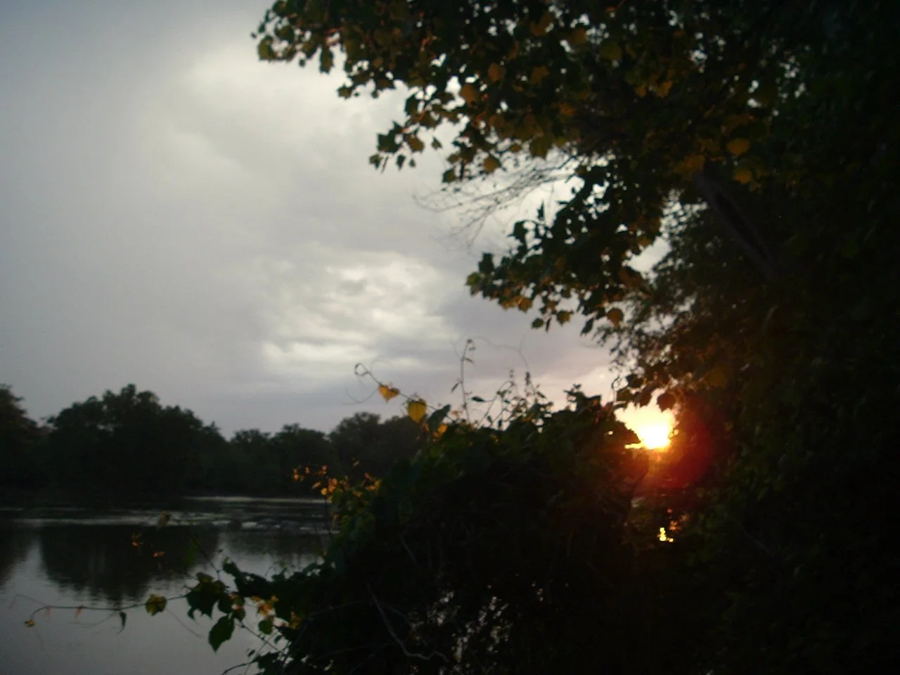 DSCF1285.JPG