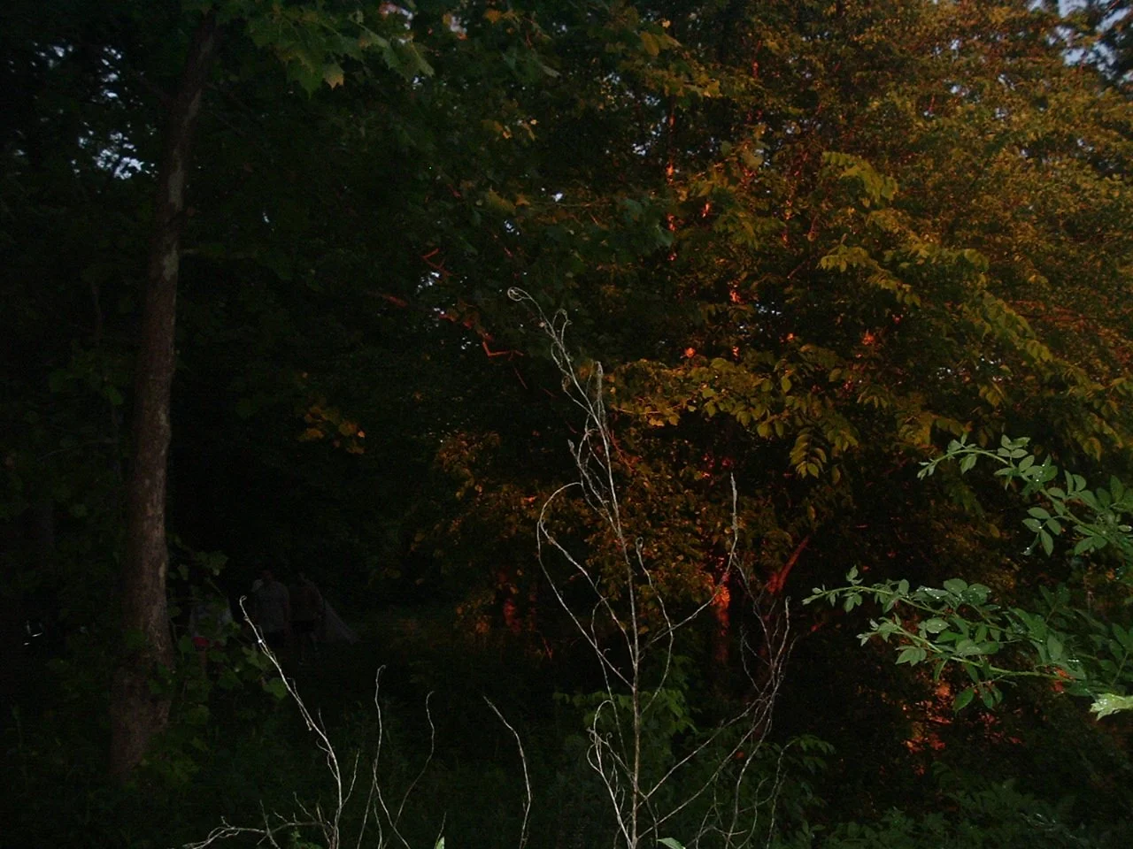 DSCF1286.JPG