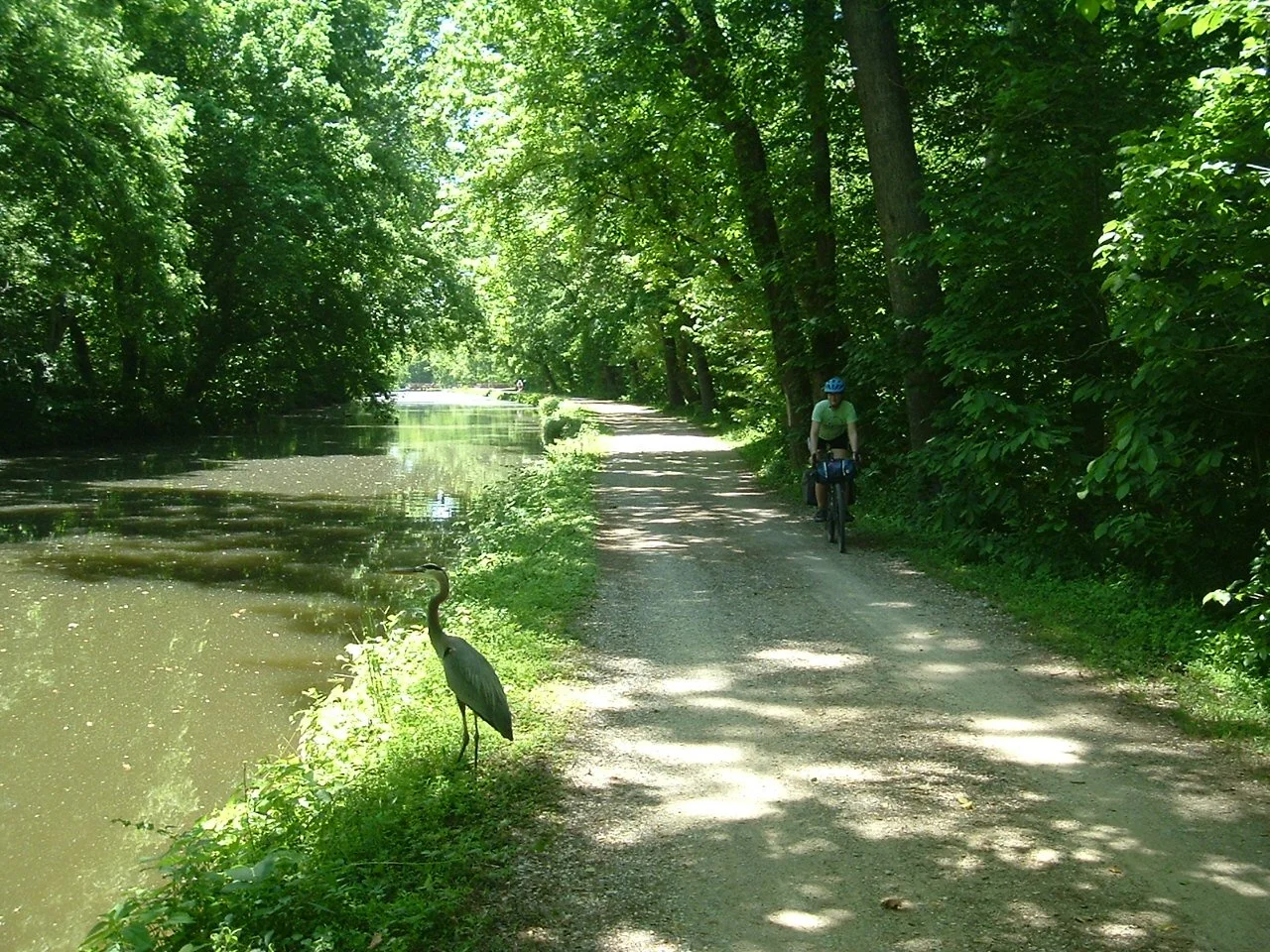 Group Bikepacking in Maryland: C&amp;O Canal, Sugarloaf Mountain, Montgomery County, Camping