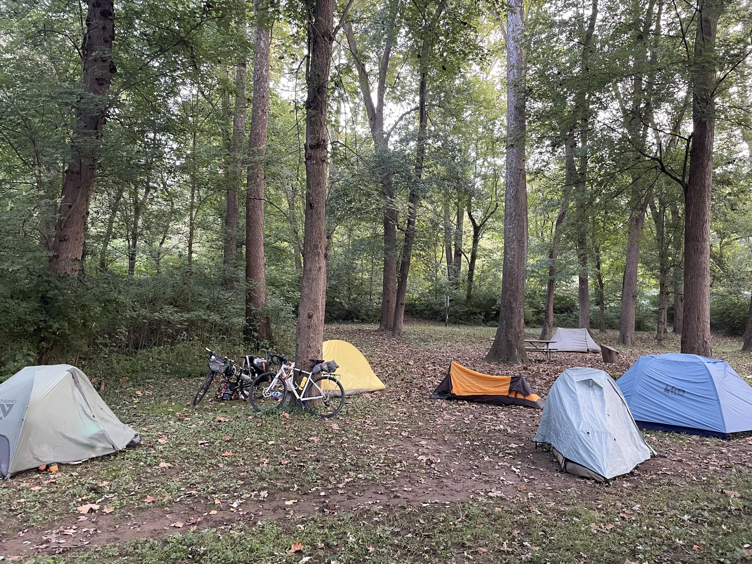 A campsite in a wooded area with five small tents, two bicycles, and a picnic table, with tall trees and fallen leaves on the ground.