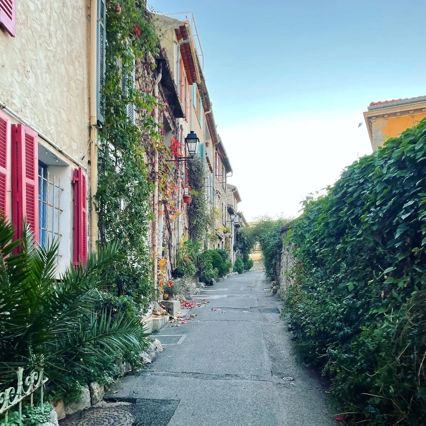 A narrow alleyway with colorful residential buildings on the left and a tall green hedge on the right. The buildings are decorated with plants and flowers, some with pink shutters and climbing greenery. The sky is clear and blue.