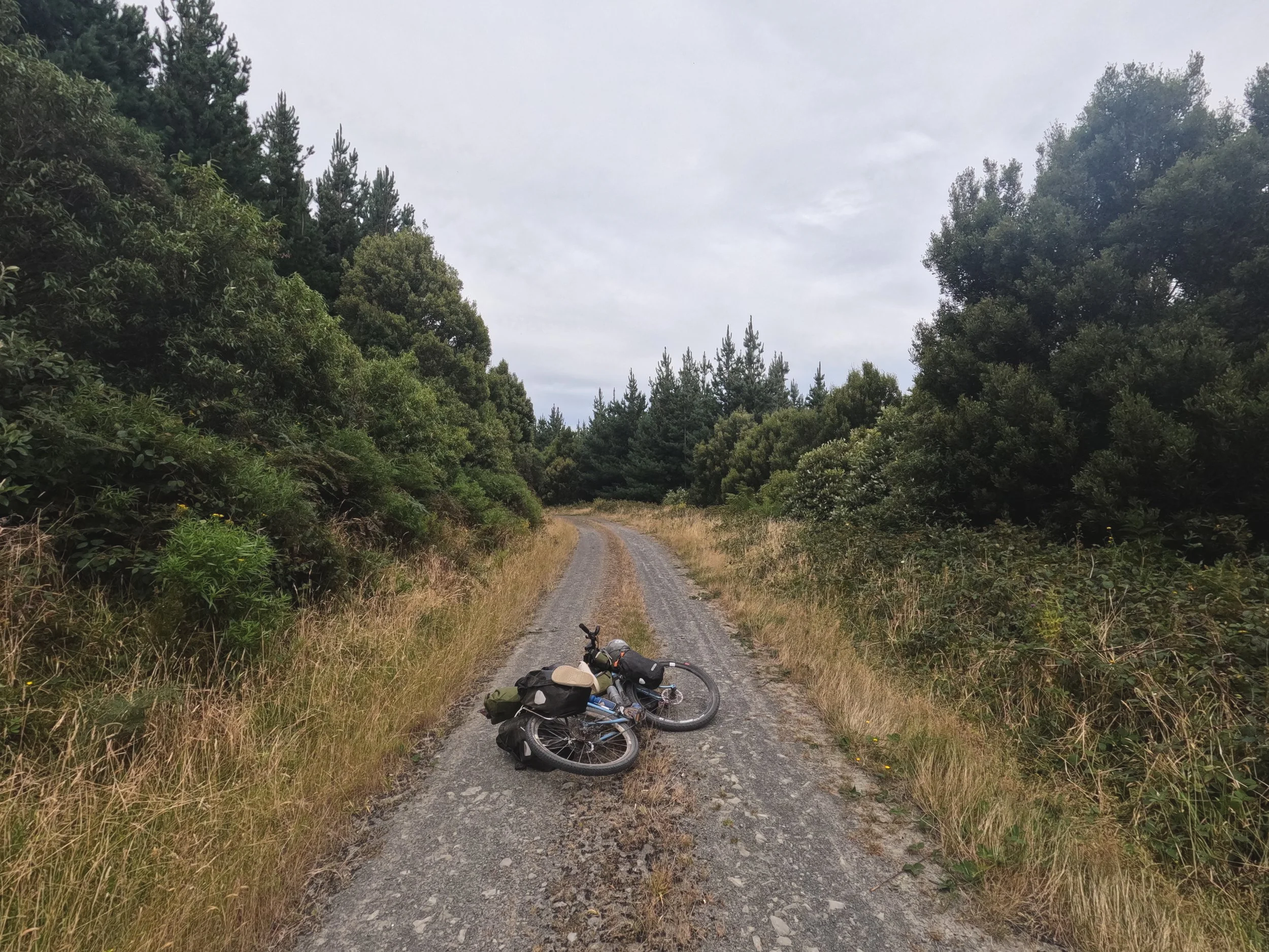 A fallen bicycle on a gravel dirt road surrounded by dense green trees and bushes under a cloudy sky.