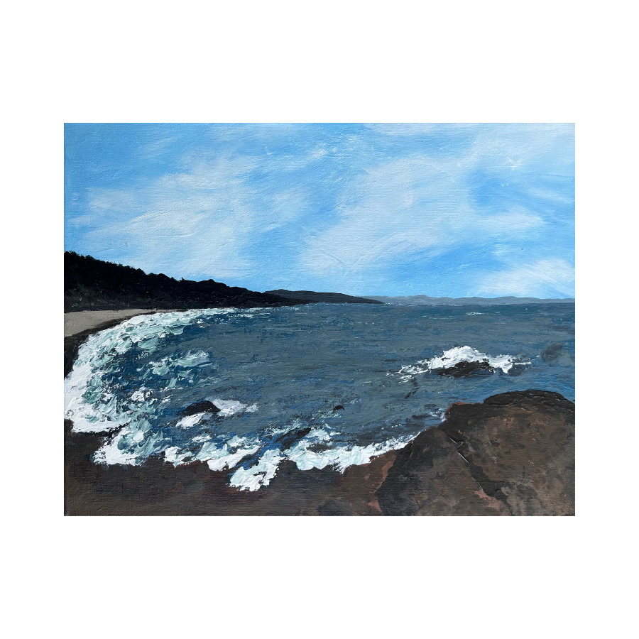 Rocky Cove.png