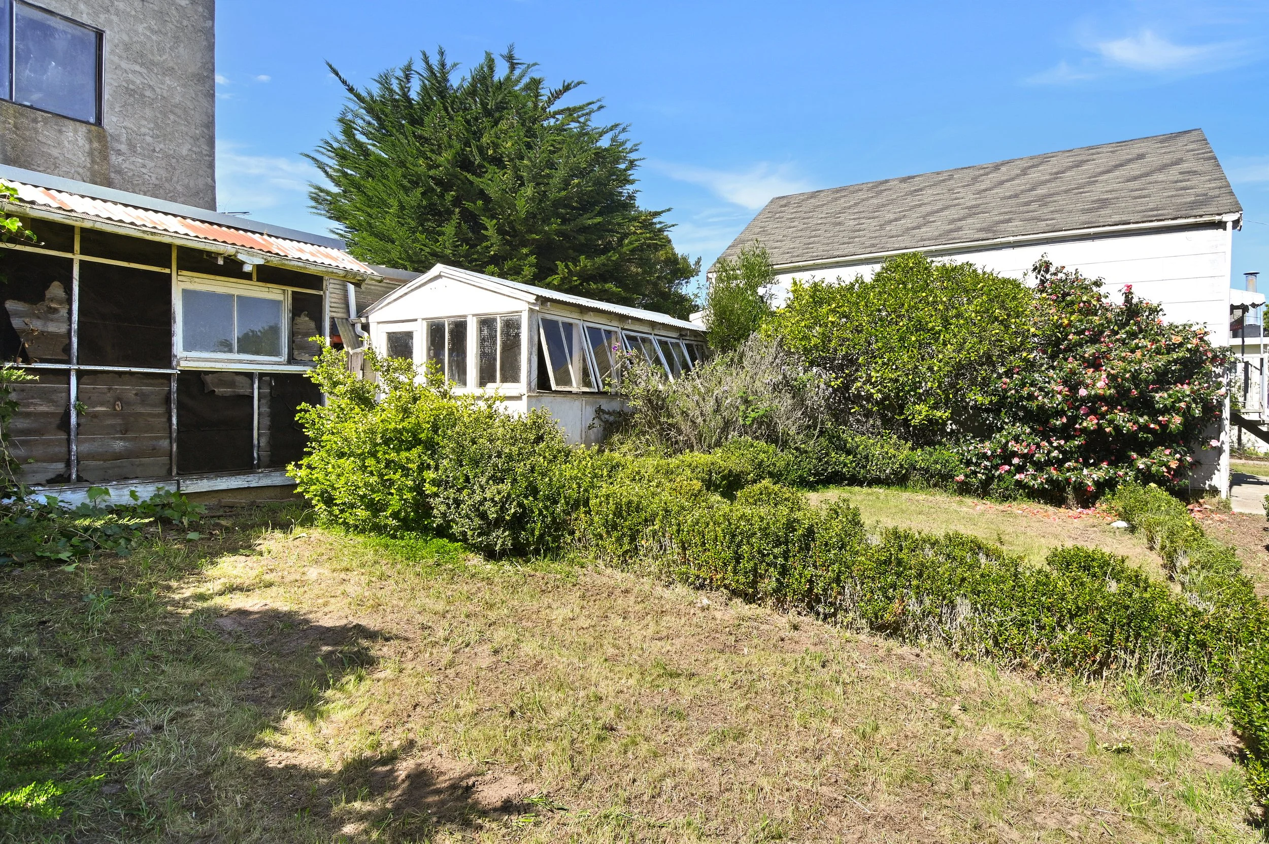 A backyard scene with a small lawn, various green shrubs, a large tree, and a white house with a steep gray roof. There is a small greenhouse with glass windows and another wooden building with a weathered exterior. Bright blue sky with a few wispy c