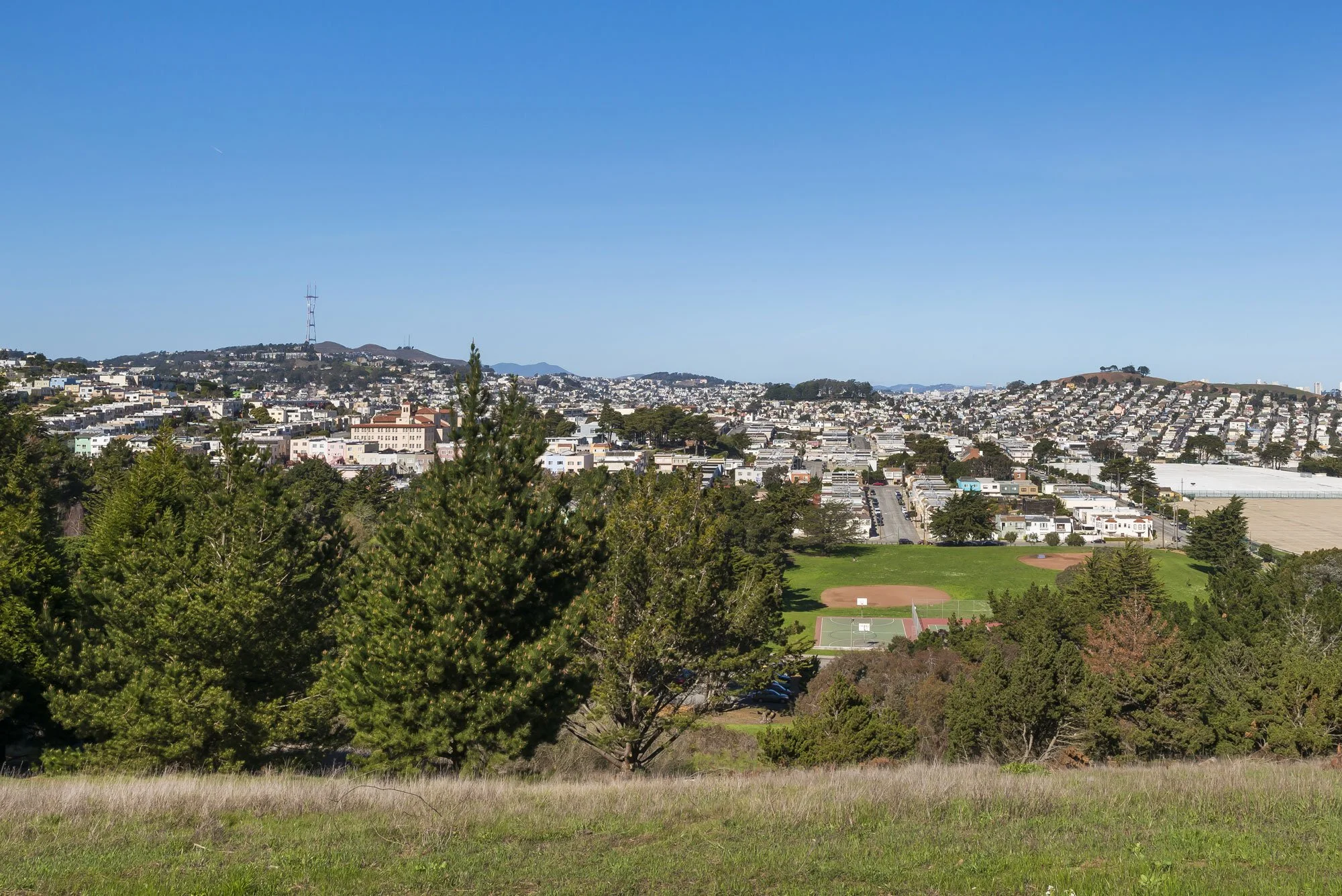 View of a city skyline with white buildings on rolling hills, a grassy park with basketball courts in the foreground, and trees in the foreground on a clear day.