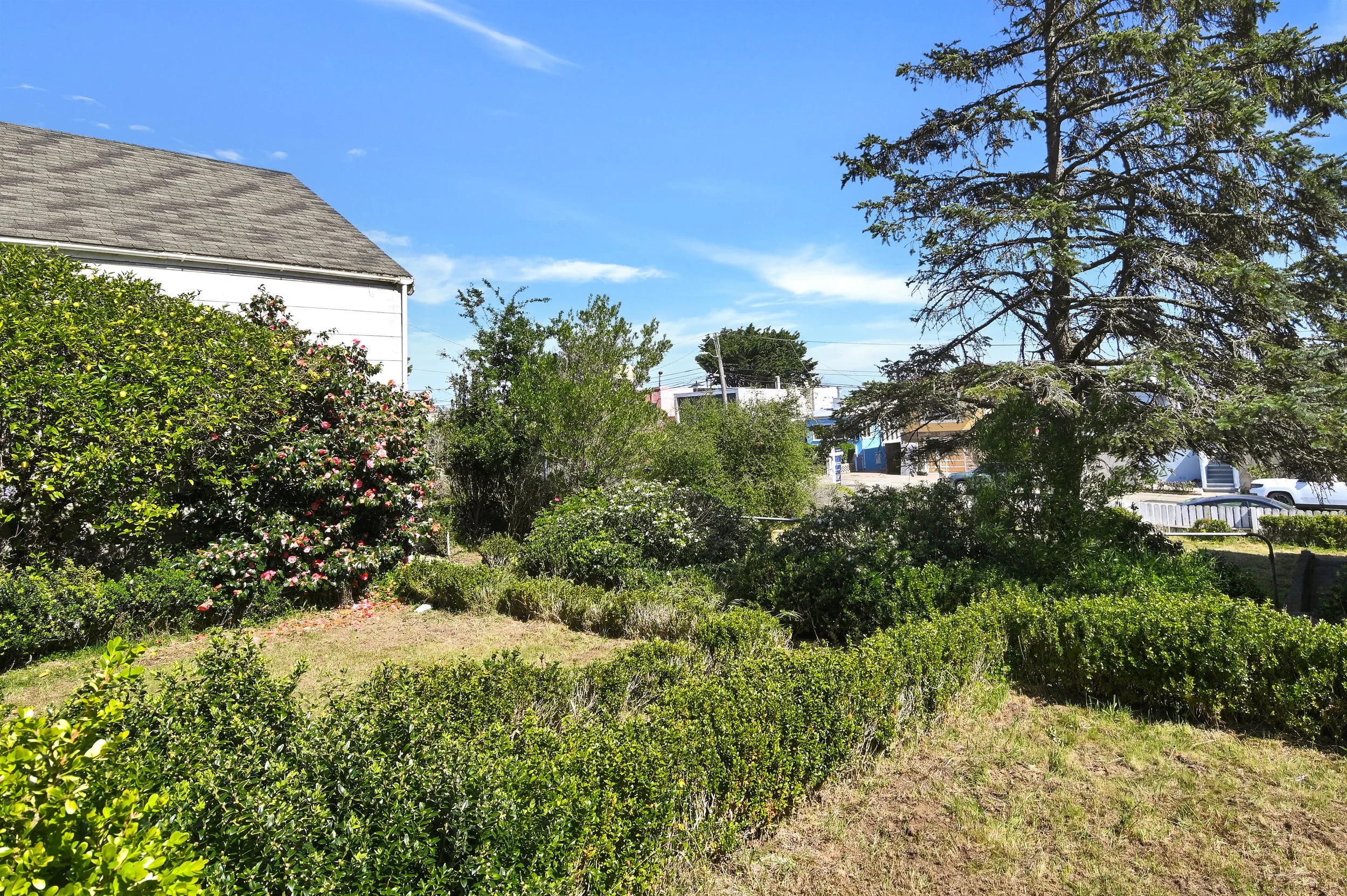 A green garden with bushes, trees, and a white house in the background under a bright blue sky with some clouds.