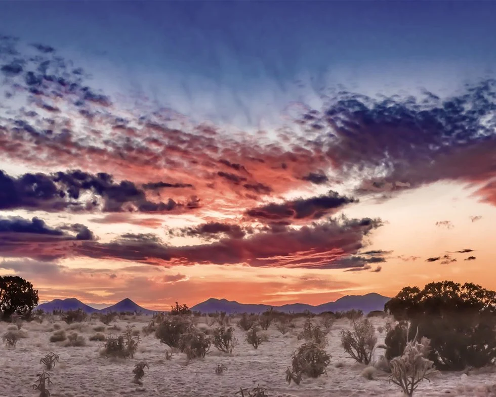 Navigating Anxiety: Types, Causes, and Tools for Management