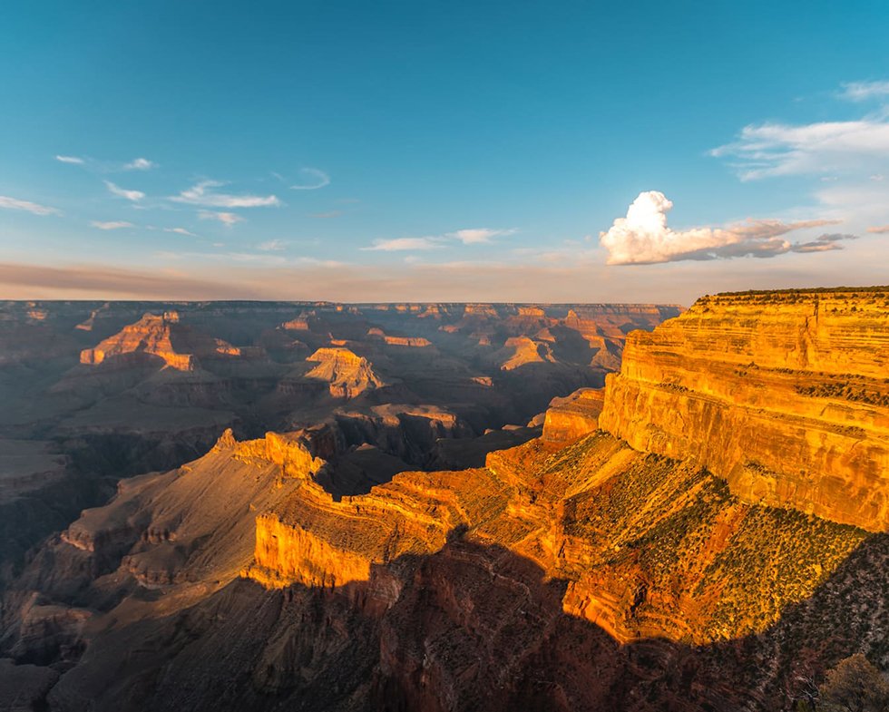 Healing Young Hearts: The Power of Trauma-Focused Cognitive Behavioral Therapy