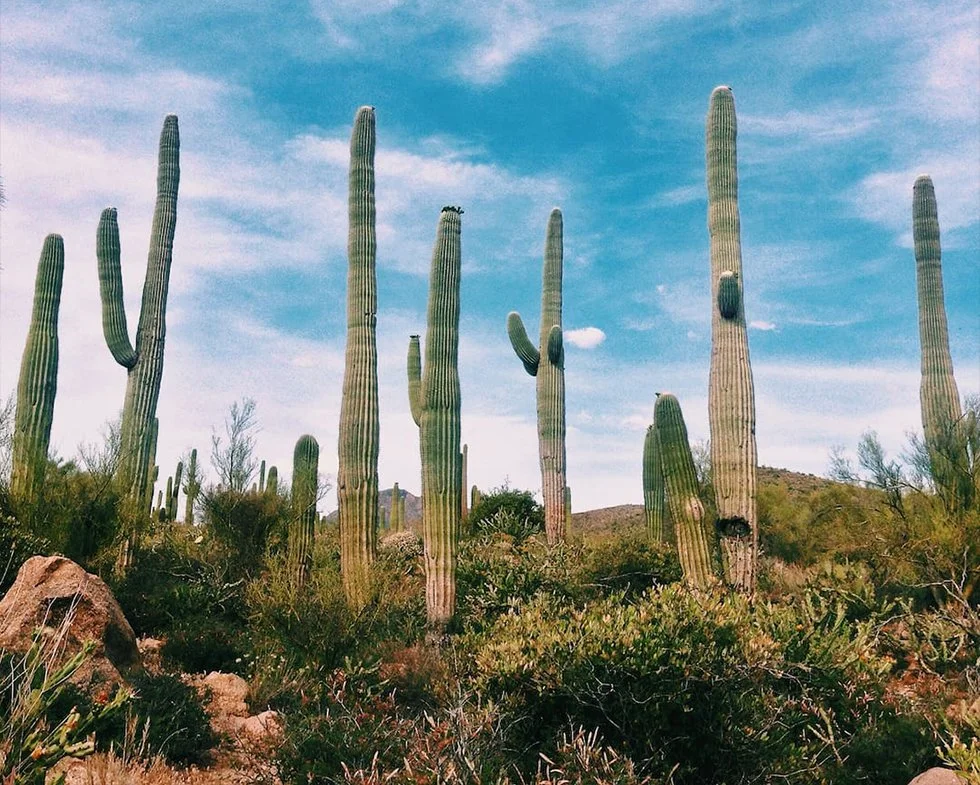 Supporting Others in Grief: Strengths and Challenges of Offering Comfort