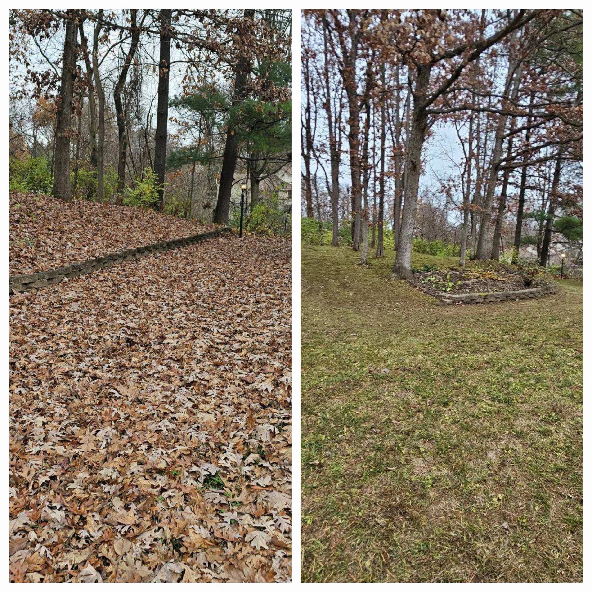 Side-by-side photos of a backyard with trees and a small garden bed, the left photo shows the yard covered in fallen leaves, while the right photo shows the yard with no leaves and a small, raised garden bed surrounded by bricks.