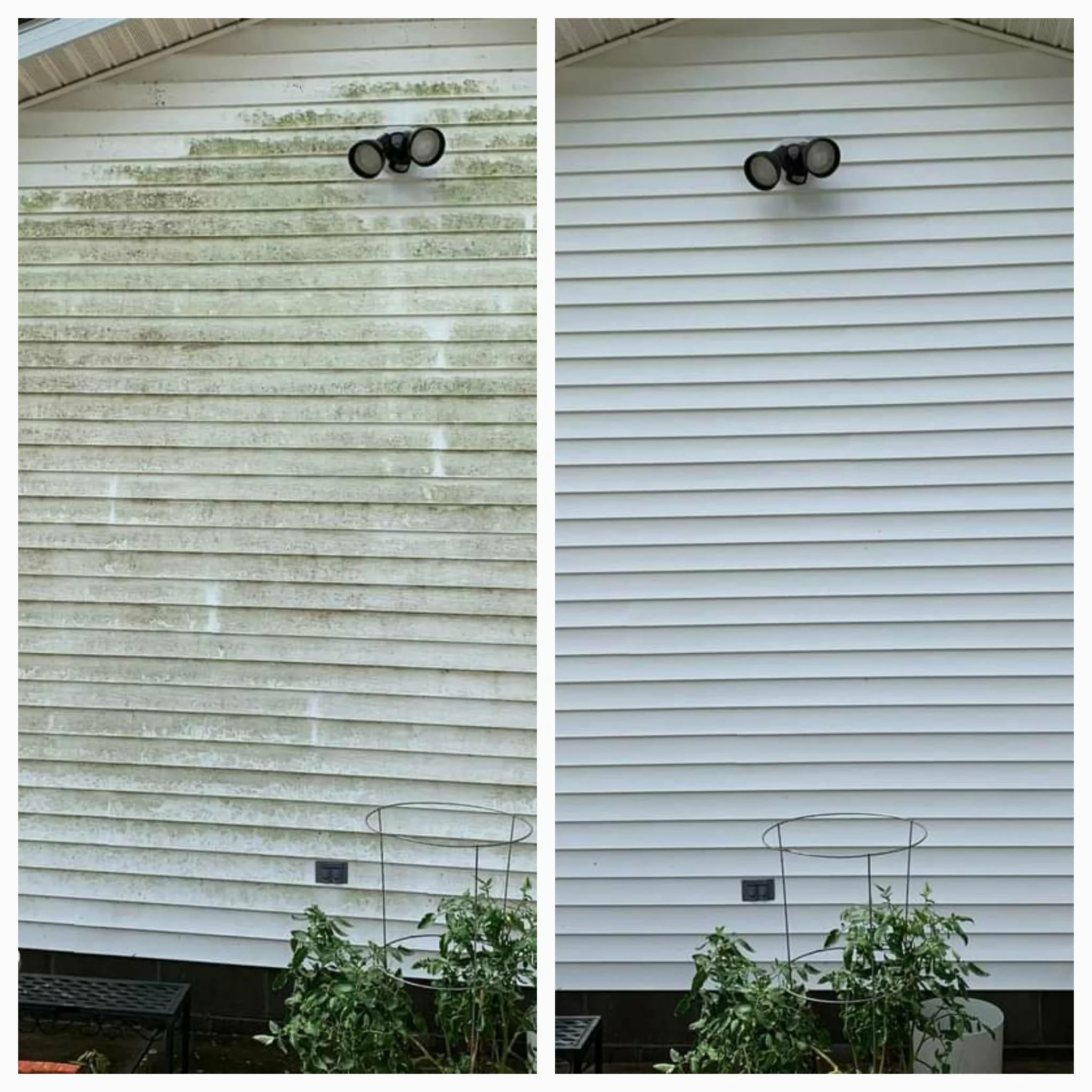 Softwash Vinyl Siding