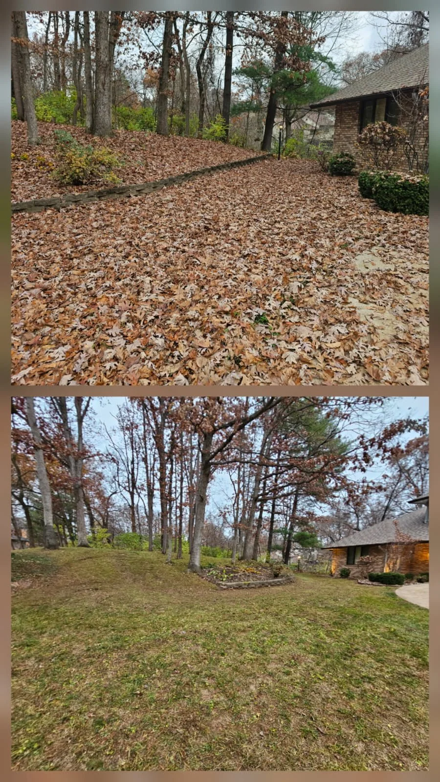 Cyclone Rake Leaf Removal