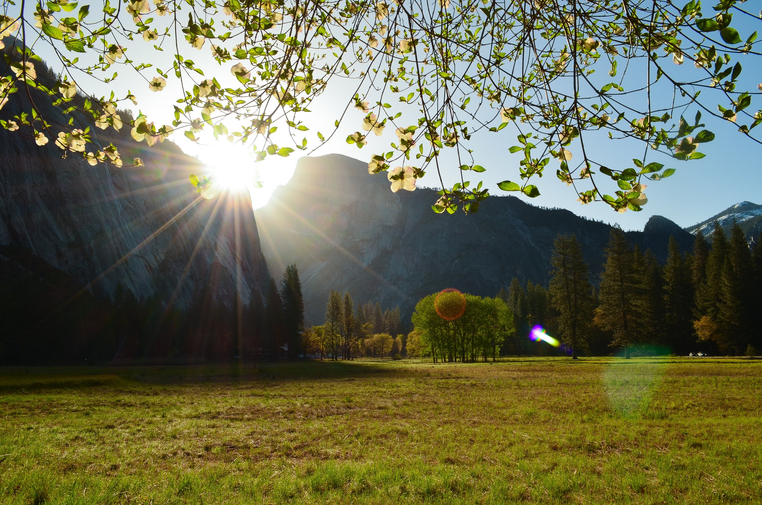Yosemite