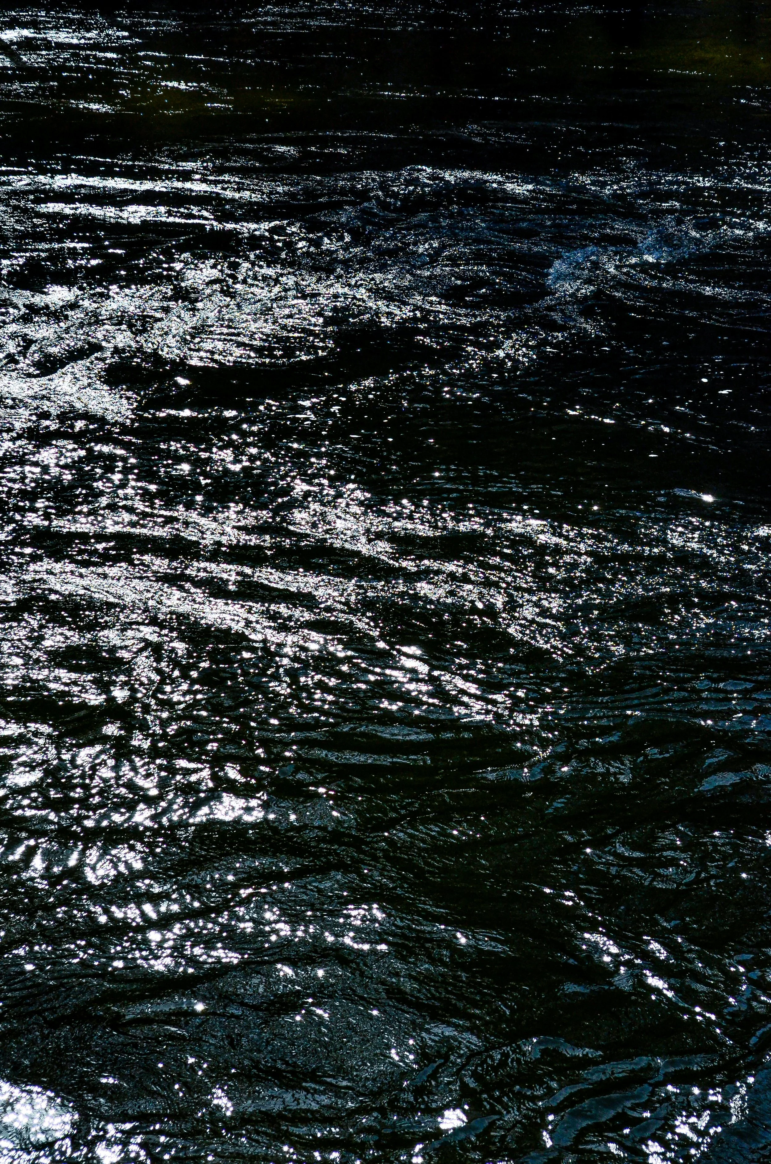 49B13678-859C-416E-A08A-6C6BBEAA7020_1_201_a.jpg