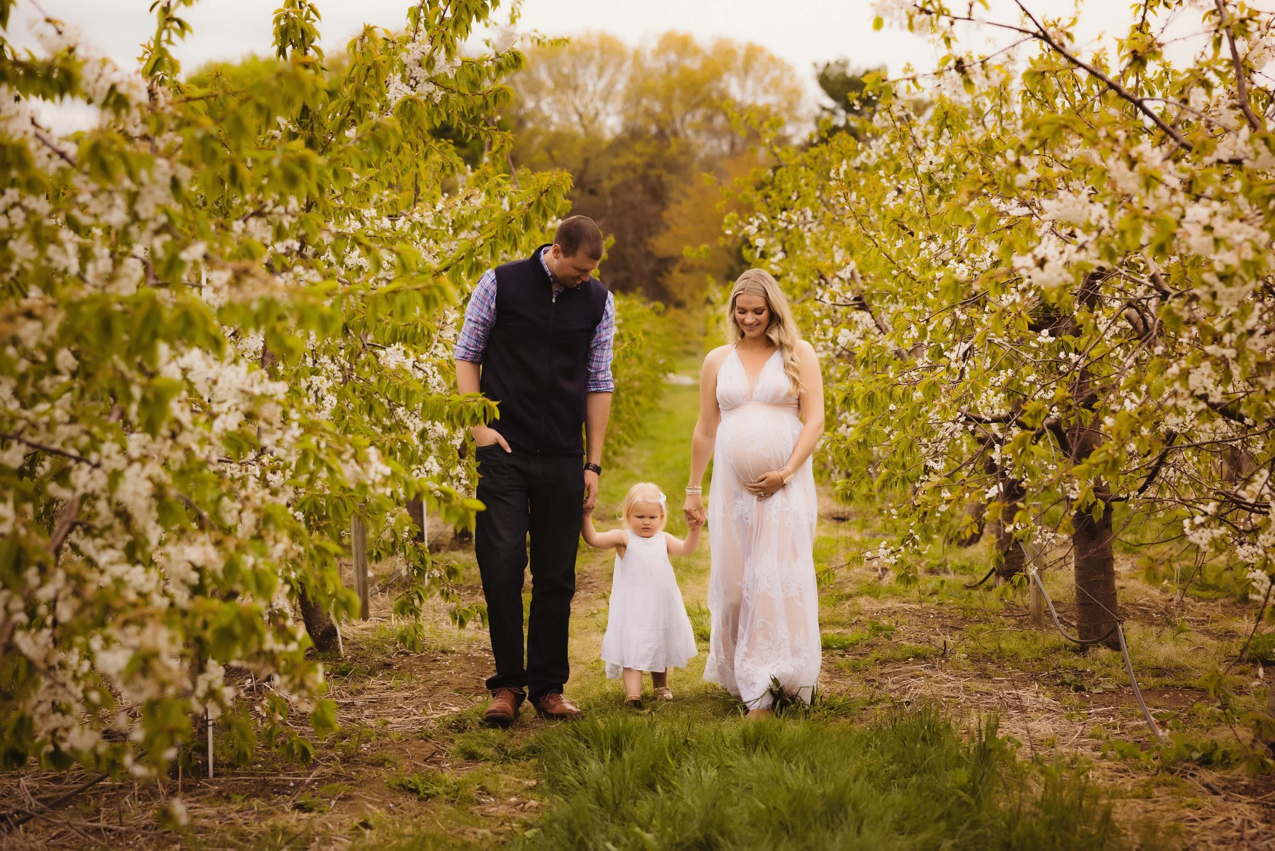 A family of three, with a pregnant woman, her partner, and a young girl, walking hand-in-hand through a blossoming orchard on a spring day.