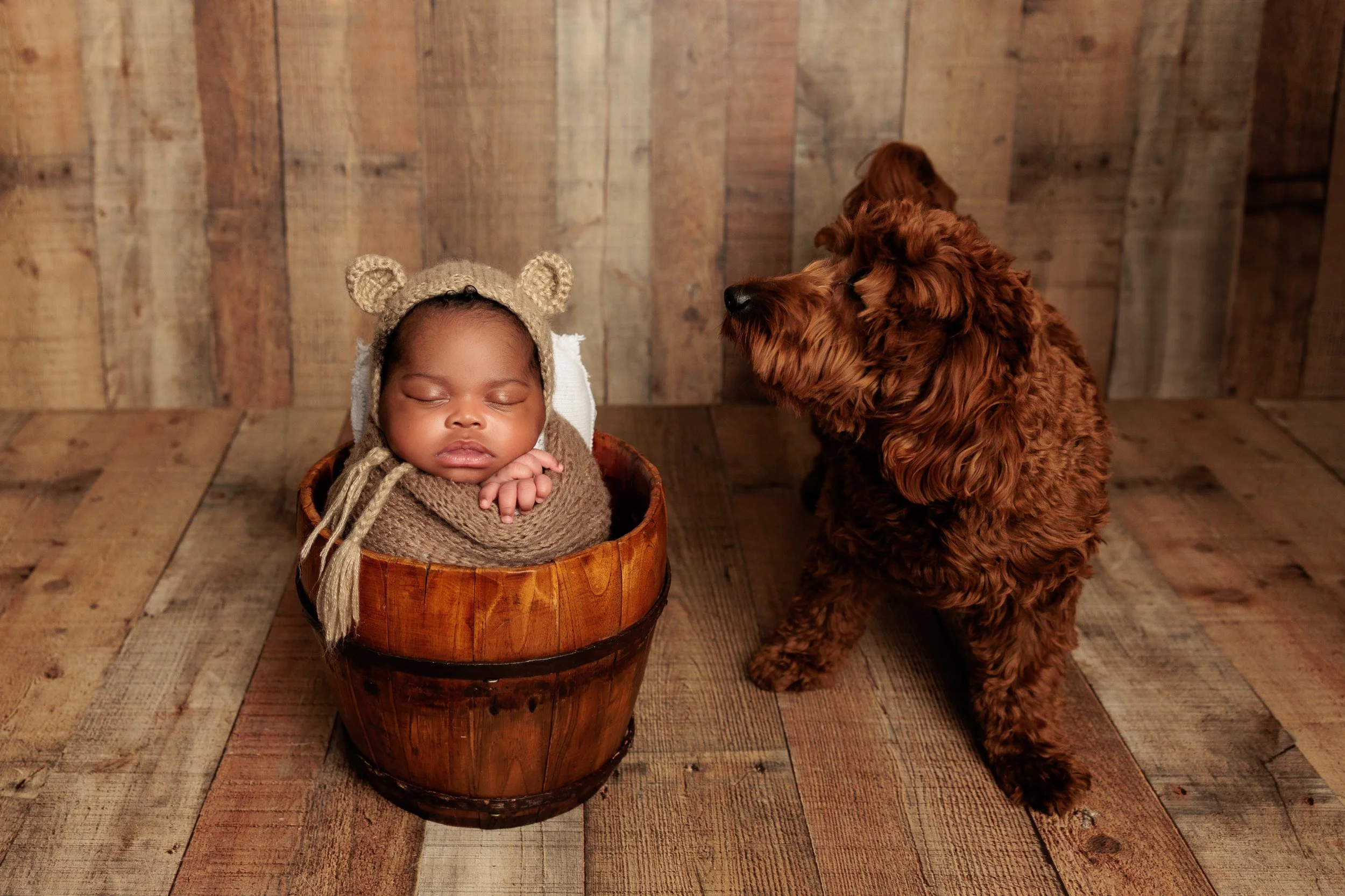 A sleeping baby in a wooden bucket wearing a bear hat, next to a brown curly-haired dog on a wooden floor with a wooden wall background.